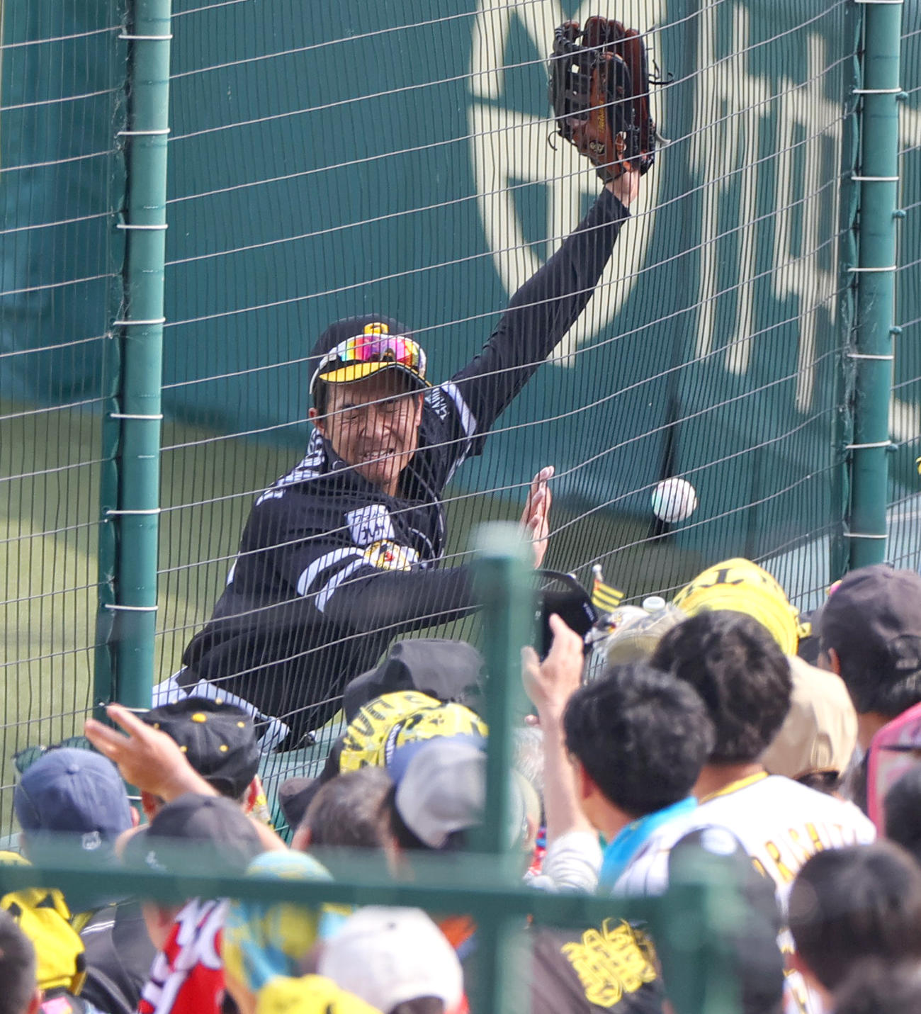 阪神対ソフトバンク　5回裏阪神無死、右翼手柳町はヘルナンデスの邪飛をフェンス前まで追うが捕球ならず（撮影・上山淳一）