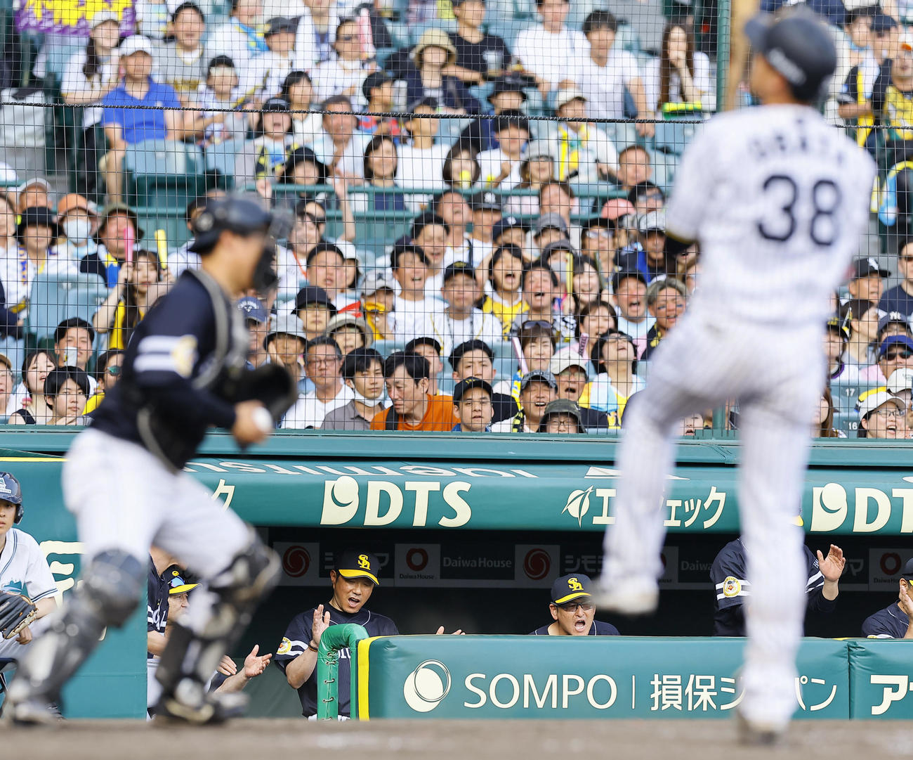 阪神対ソフトバンク　9回裏阪神2死一塁、小幡を三振に仕留め、ベンチで手をたたく小久保監督（撮影・藤尾明華）
