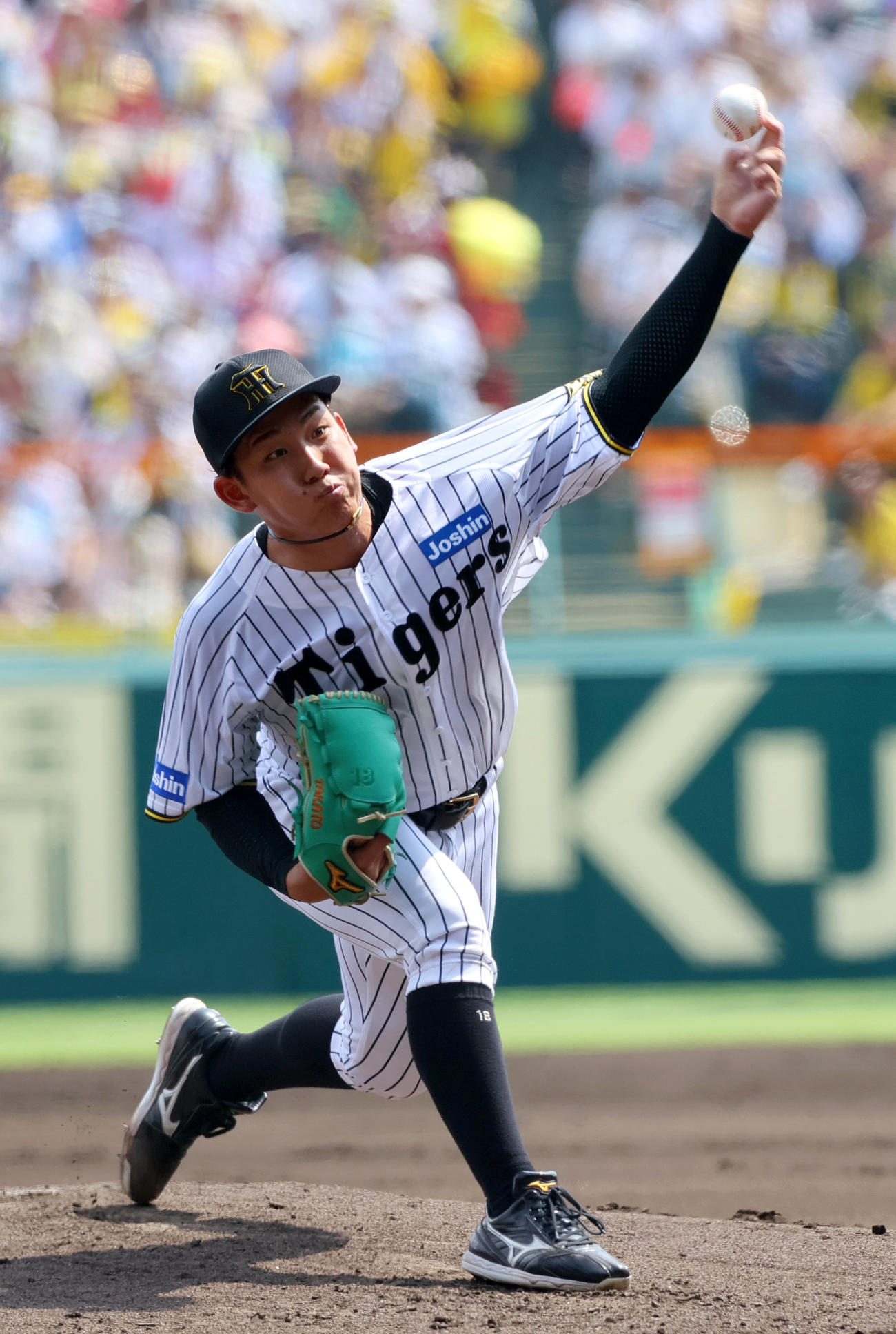 阪神伊原陵人（2025年6月22日撮影）