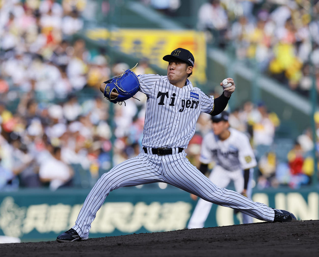 阪神富田蓮（25年6月22日撮影）
