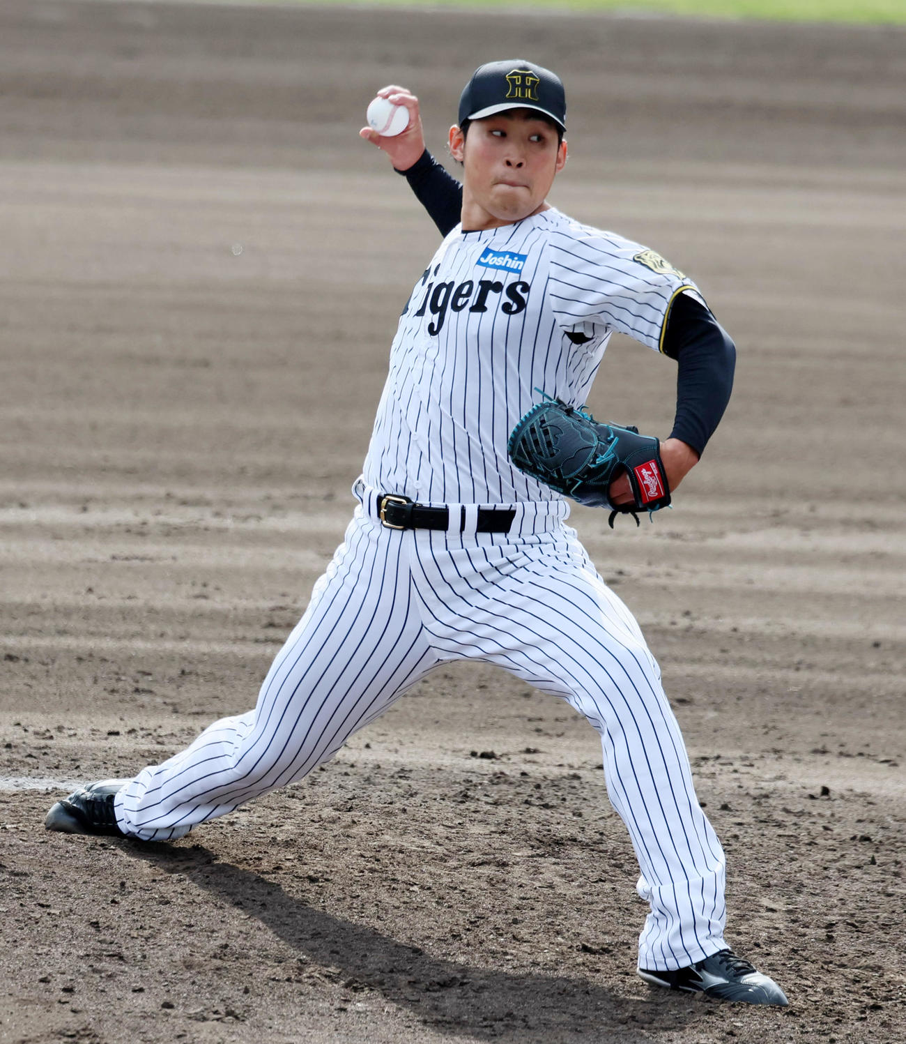 阪神佐藤蓮（25年2月22日撮影）
