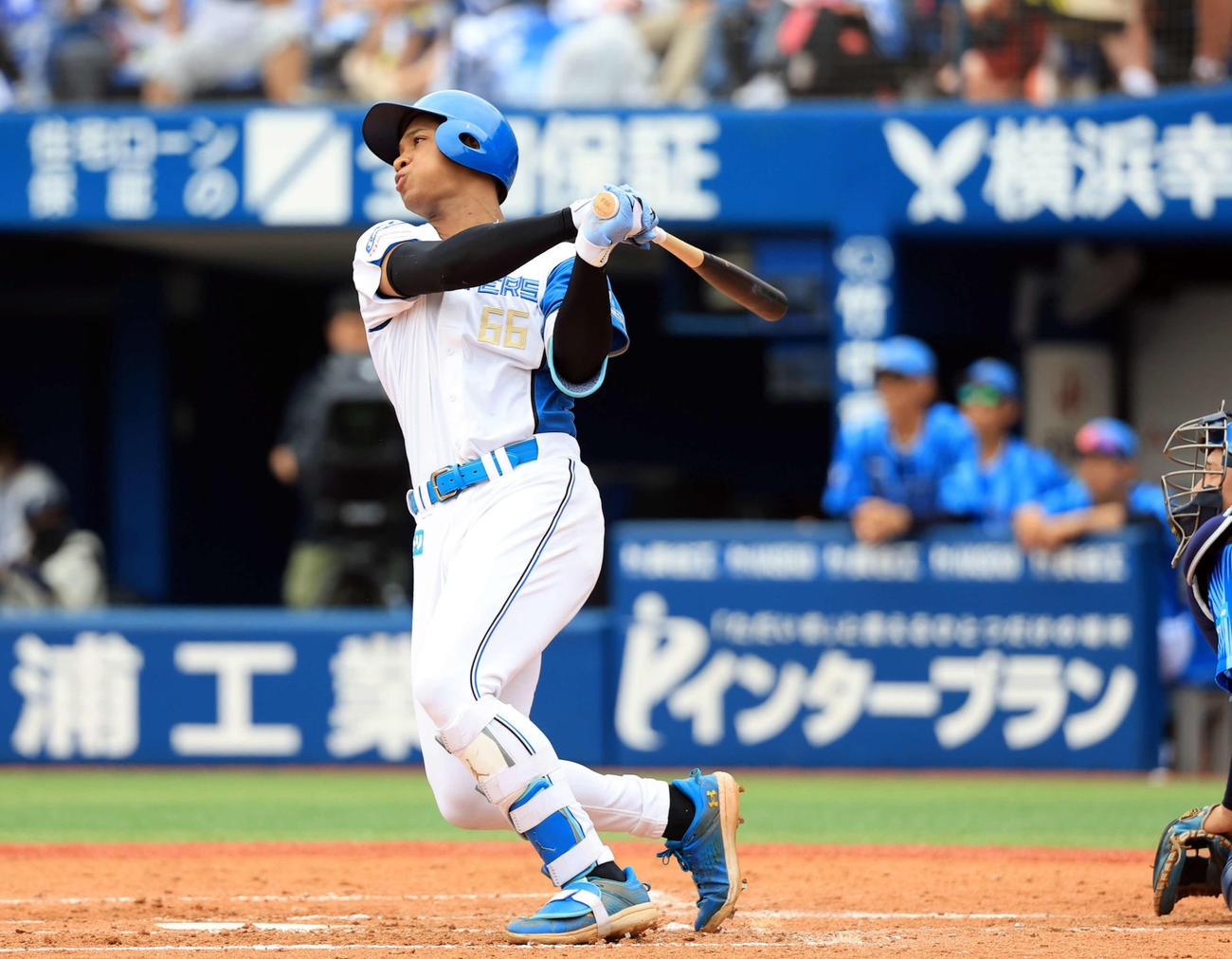 日本ハム万波中正（2025年6月8日撮影）