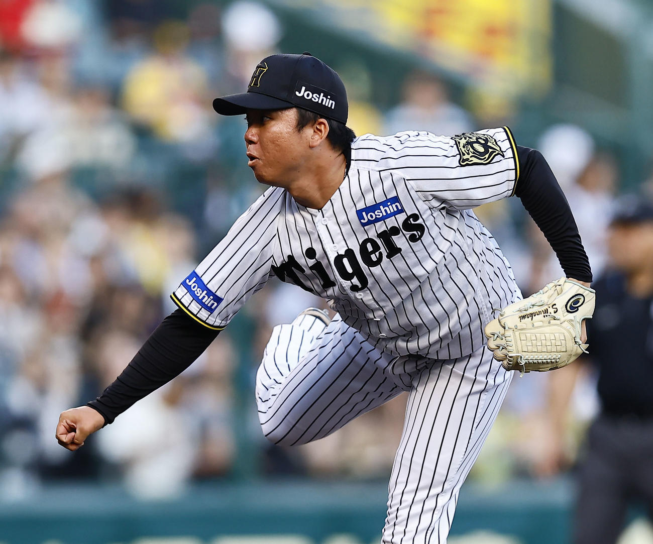 阪神村上頌樹（2025年6月20日撮影）