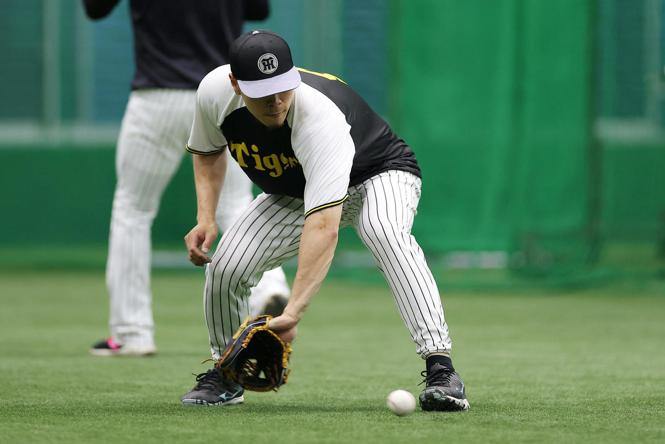 室内練習場でノックを受ける阪神佐藤輝（撮影・前田充）