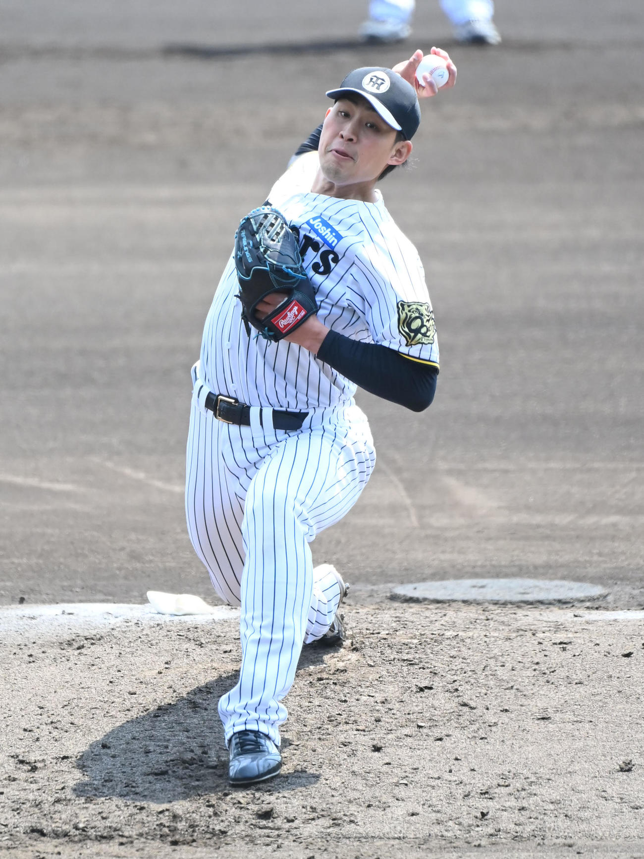 阪神佐藤蓮（2025年4月16日撮影）