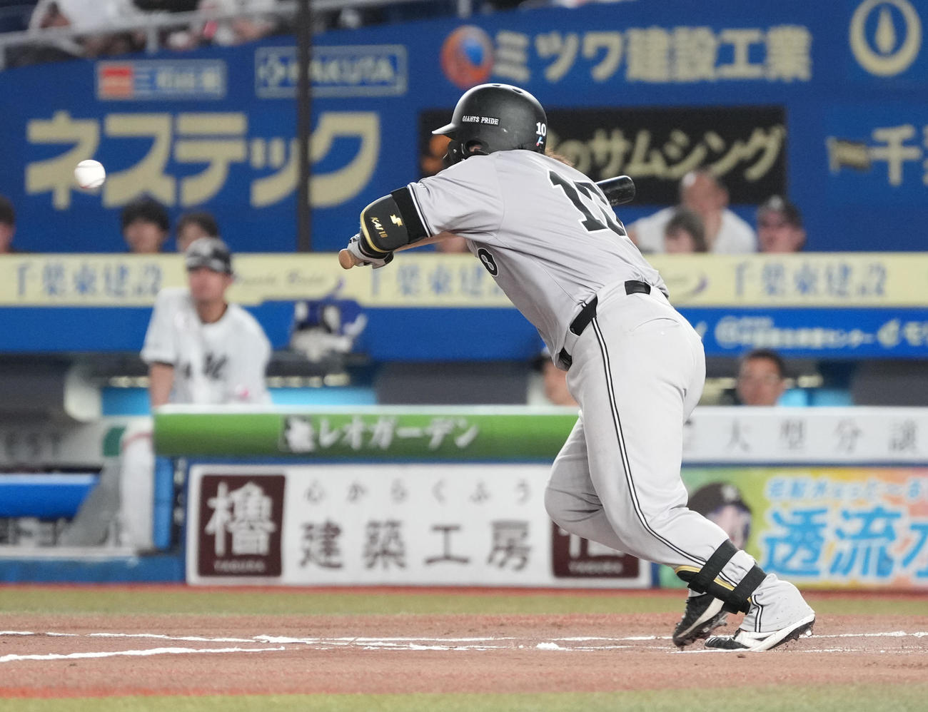ロッテ対巨人　6回表巨人1死一、二塁、甲斐は一前にセーフティバントを成功させる（撮影・小沢裕）