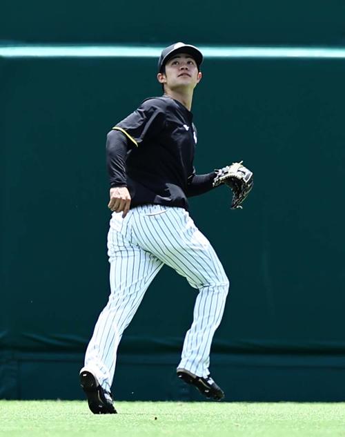 阪神】22日頭部死球の中野拓夢、全体練習でフルメニューこなす フリー