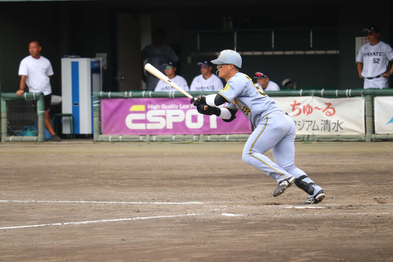 くふうハヤテ戦で中前打を放った阪神前川右京外野手