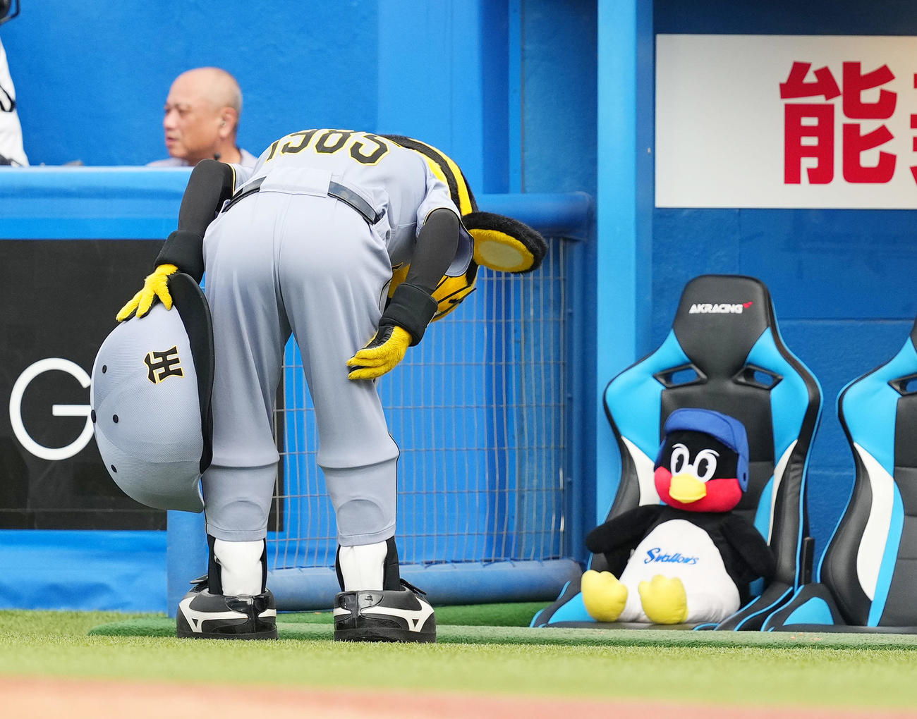 ヤクルト対阪神　試合前、ベンチに置かれたつば九郎のぬいぐるみに頭を下げるトラッキー（撮影・菅敏）