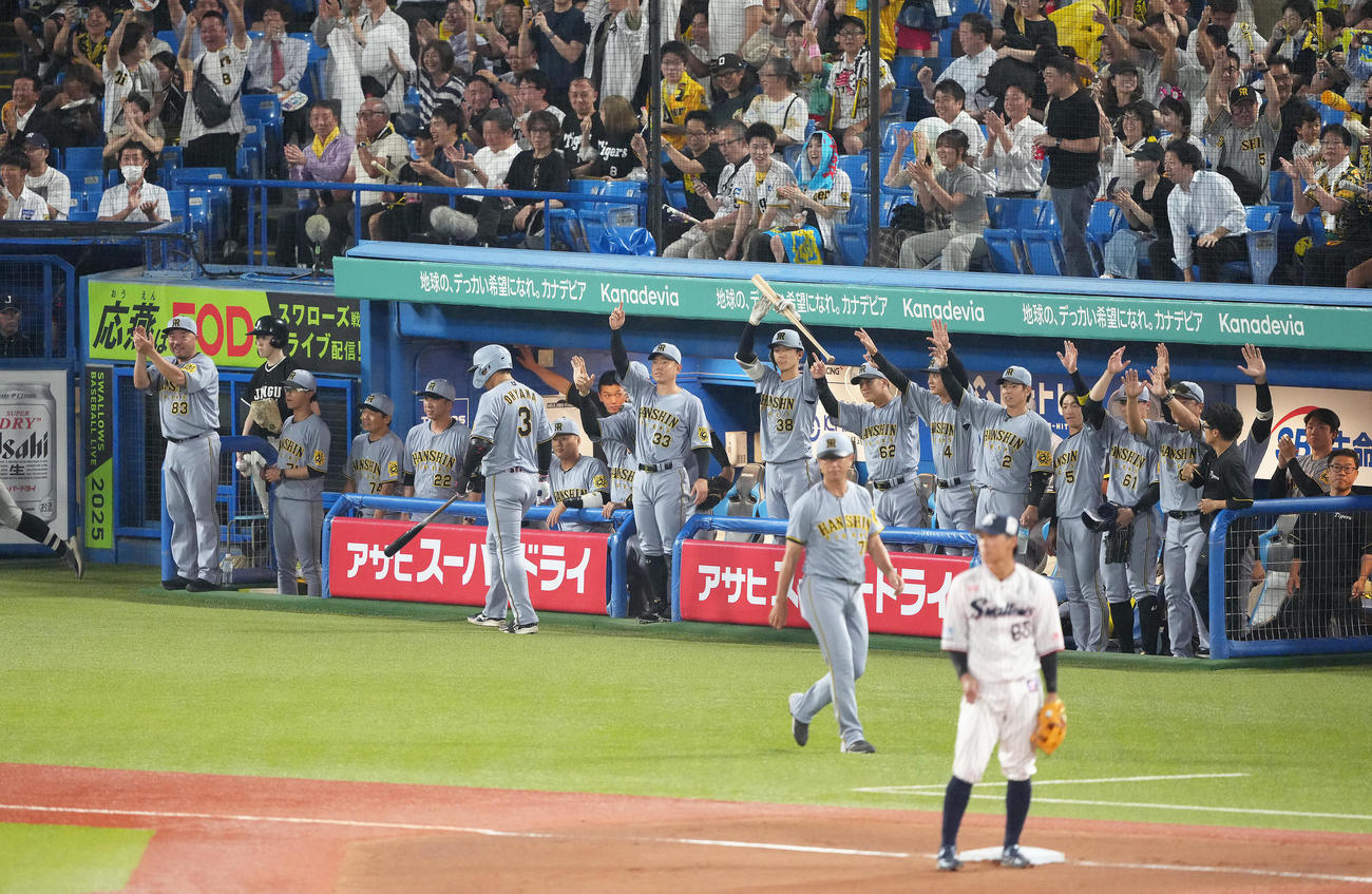 ヤクルト対阪神　4回表阪神無死一塁、森下の適時内野安打で先制し盛り上がる阪神ベンチ（撮影・足立雅史）