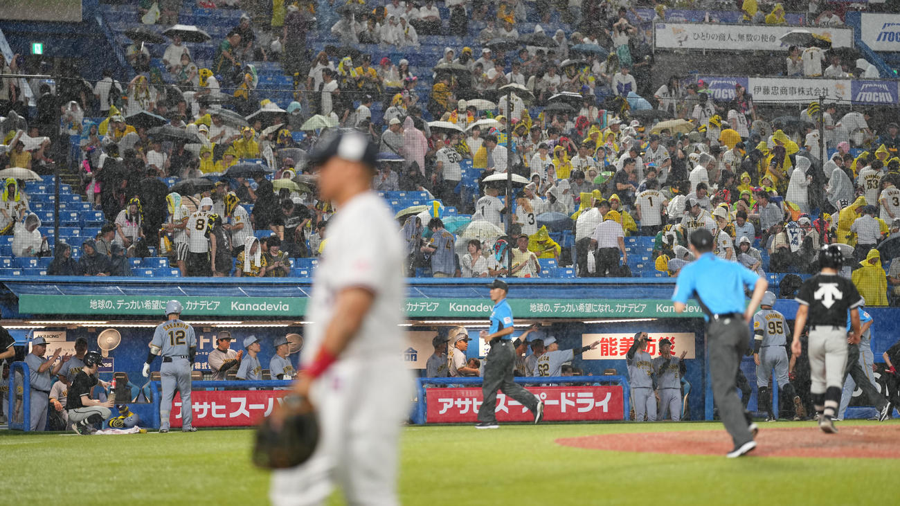 ヤクルト対阪神　4回表途中で雨が強まり、試合が中断する（撮影・鈴木みどり）