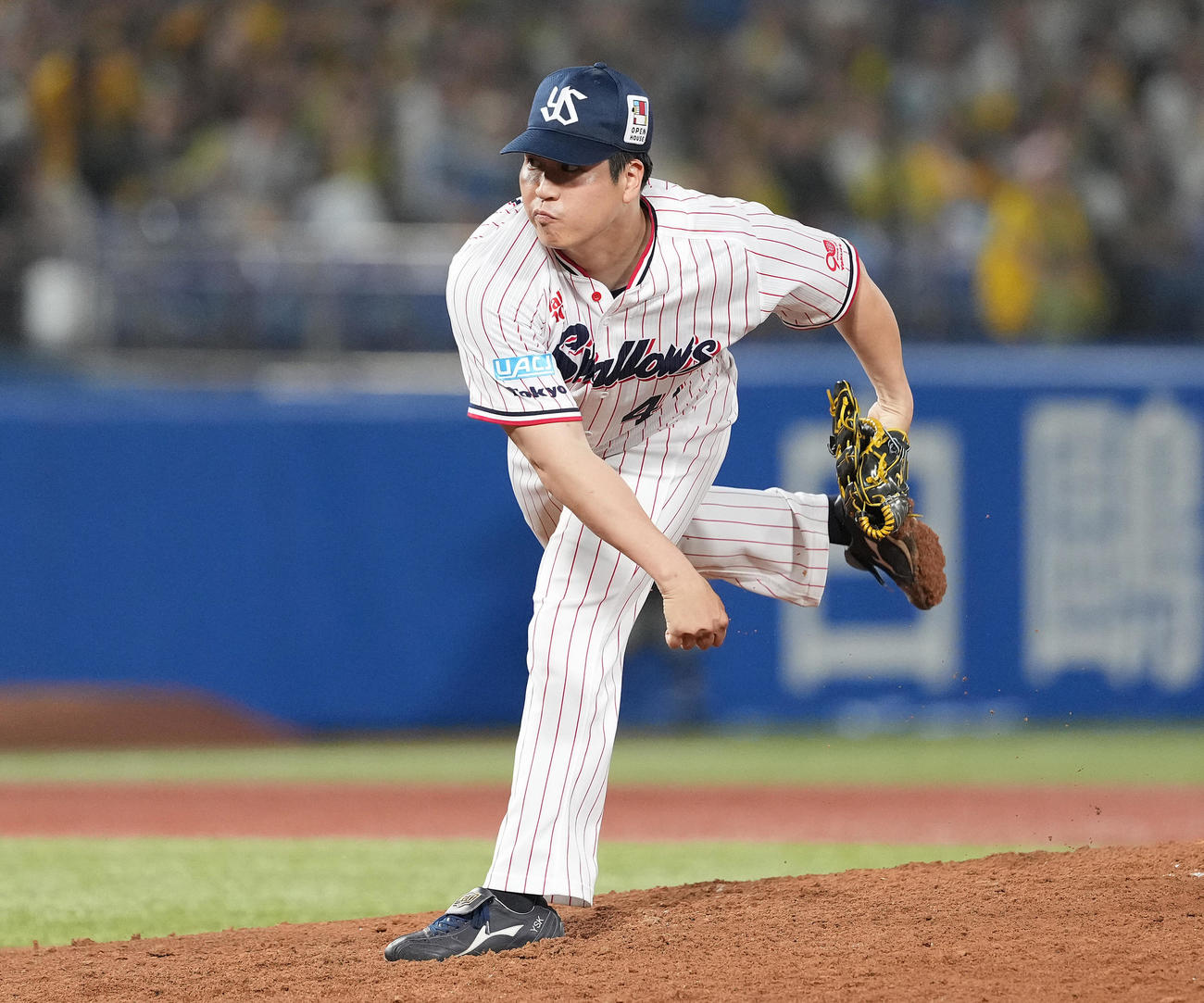 ヤクルト対阪神　7回表途中から3番手で登板したヤクルト矢崎（撮影・鈴木みどり）