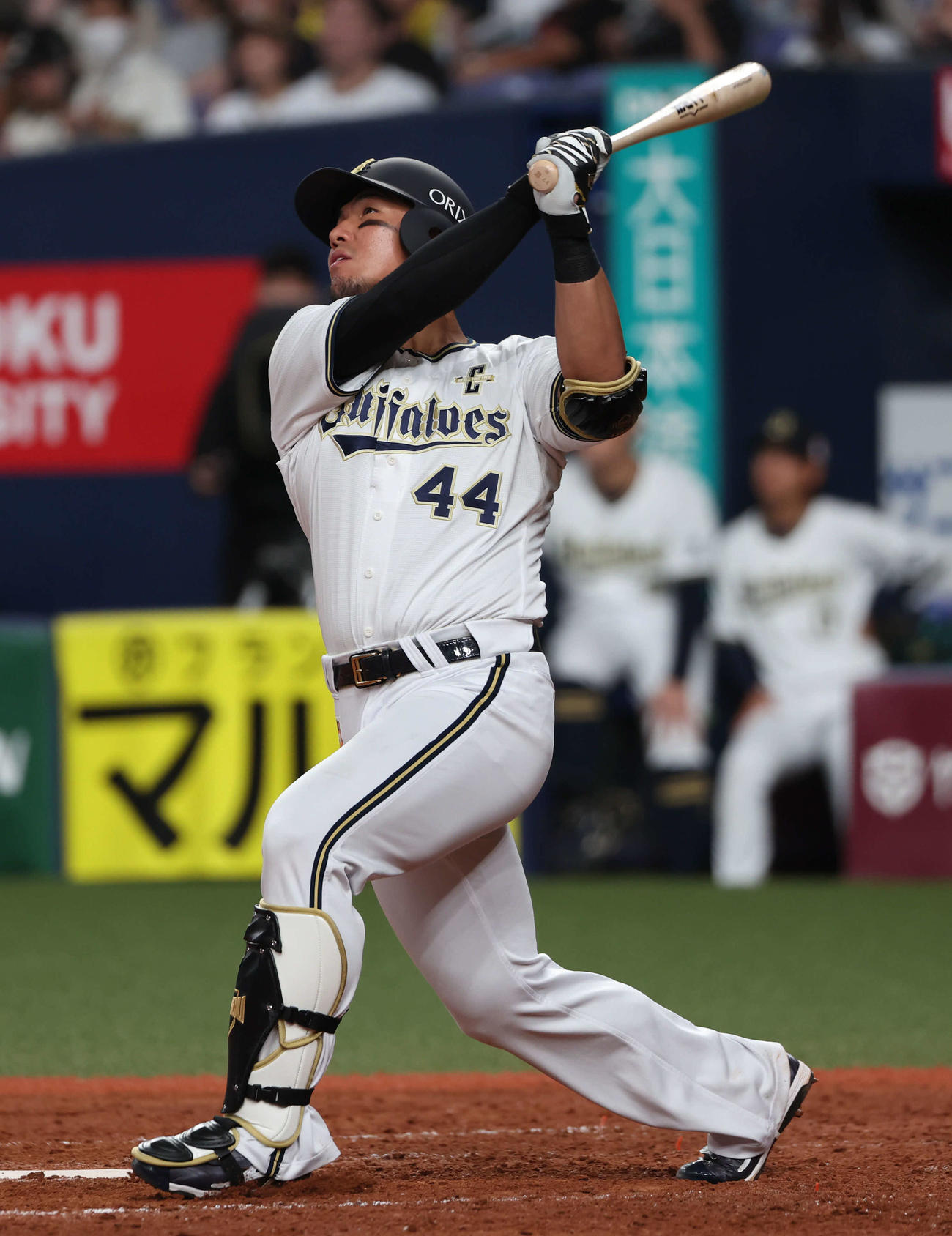オリックス対楽天　5回裏オリックス無死一塁、頓宮は左越えに本塁打を放つ（撮影・西尾就之）