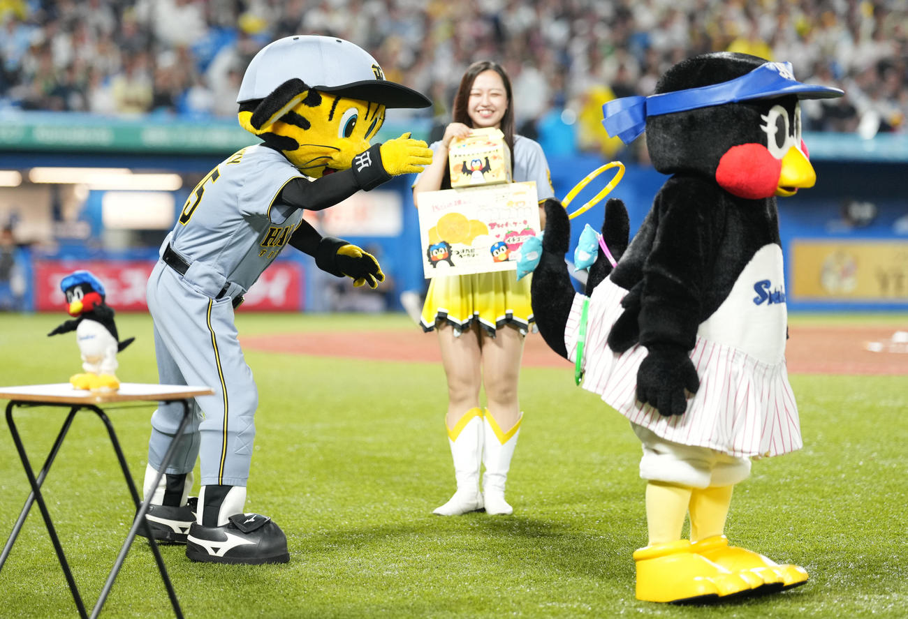 ヤクルト対阪神　つばみのしっぽに輪投げして遊ぶトラッキー（撮影・鈴木みどり）