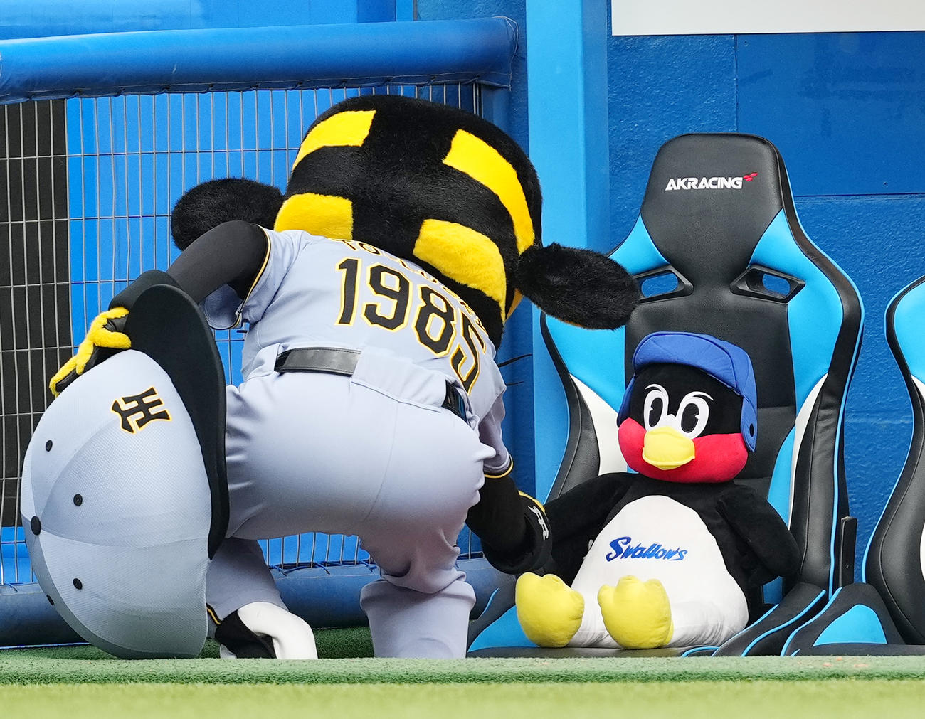 ヤクルト対阪神　試合前、ベンチに置かれたつば九郎のぬいぐるみとタッチをするトラッキー（撮影・菅敏）