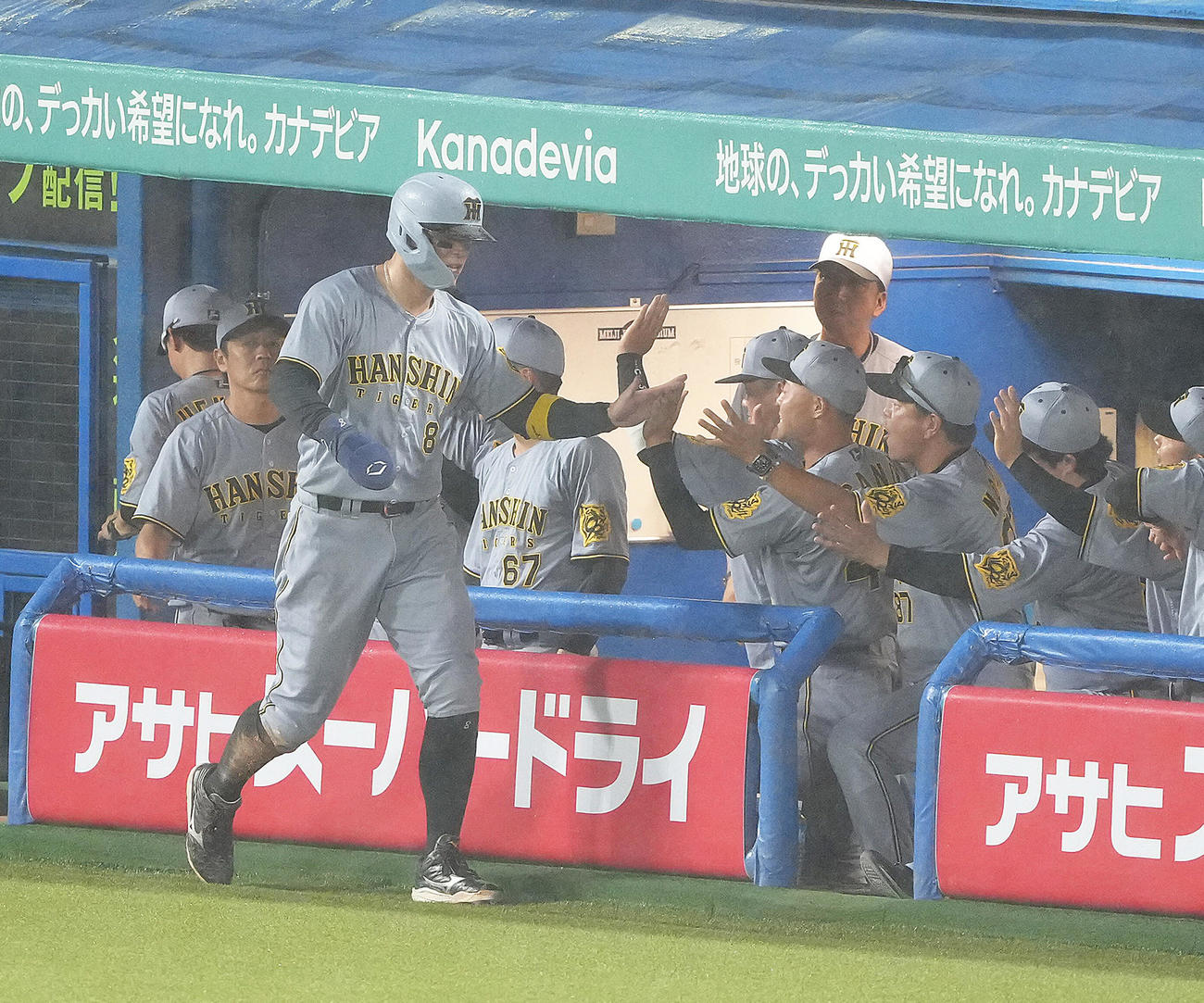 ヤクルト対阪神　4回表阪神2死一、二塁、ヘルナンデスの中前適時打で生還し、タッチで迎えられる佐藤輝（左）（撮影・足立雅史）