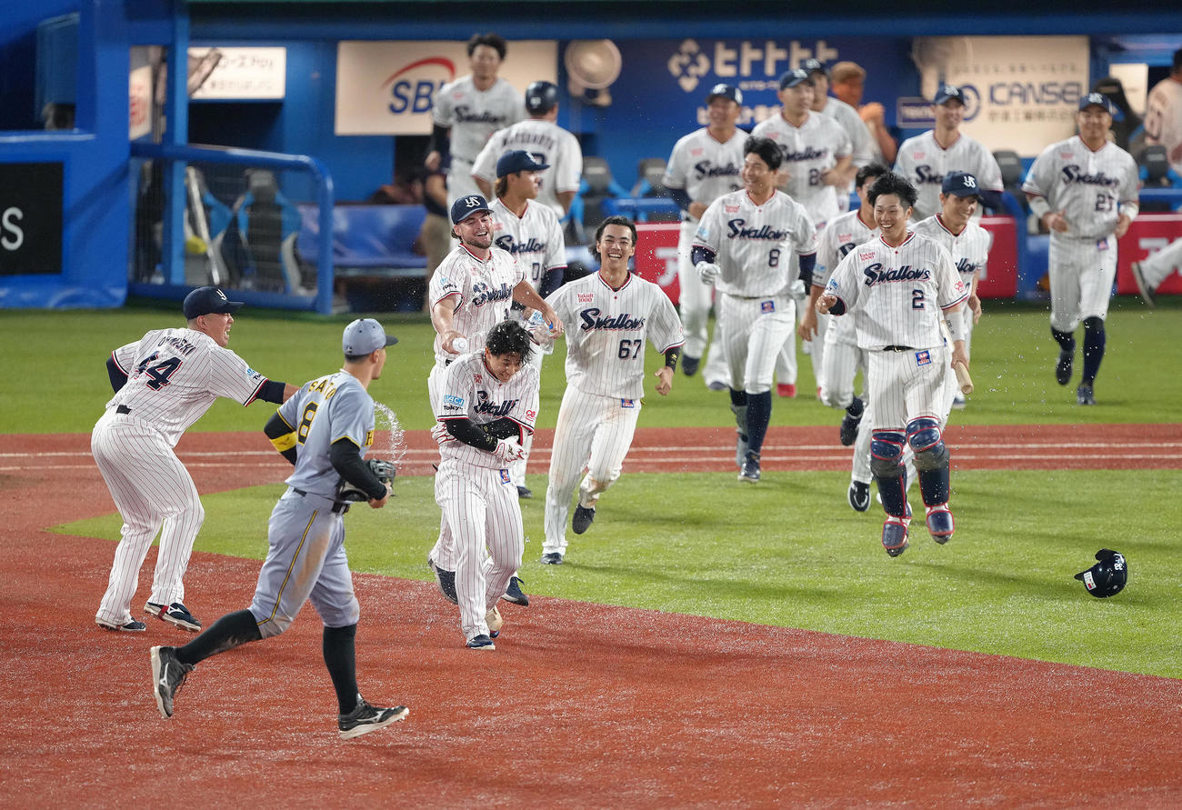 ヤクルト対阪神　9回裏ヤクルト2死二塁、内山（手前左から3人目）は相手後逸を誘いサヨナラ勝ち、手荒い祝福を受ける。同2人目は阪神佐藤輝（撮影・足立雅史）