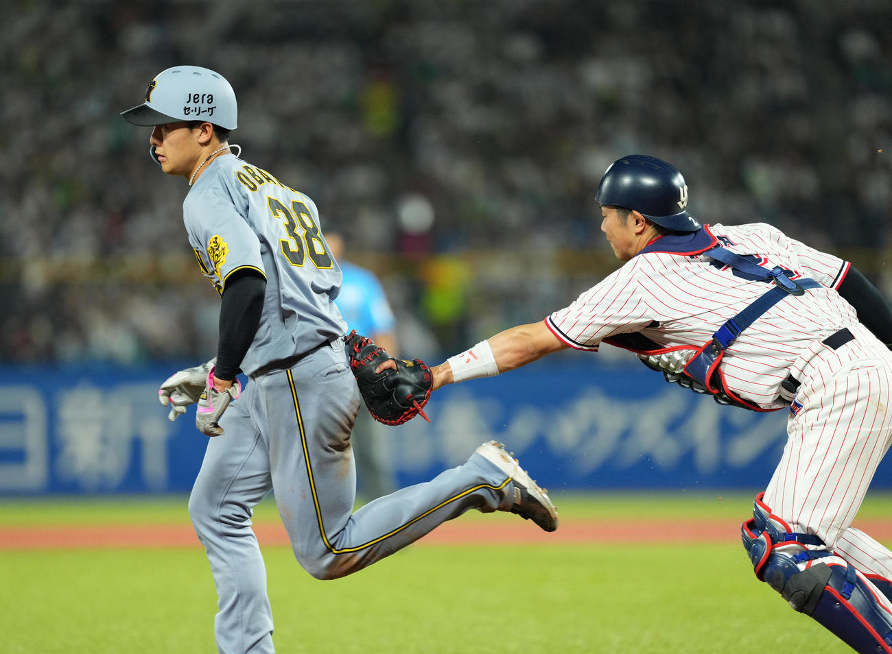 ヤクルト対阪神　6回表阪神2死満塁、打者村上の時、三本間に挟まれ、捕手古賀（右）にタッチされ、アウトとなる三塁走者小幡（撮影・菅敏）