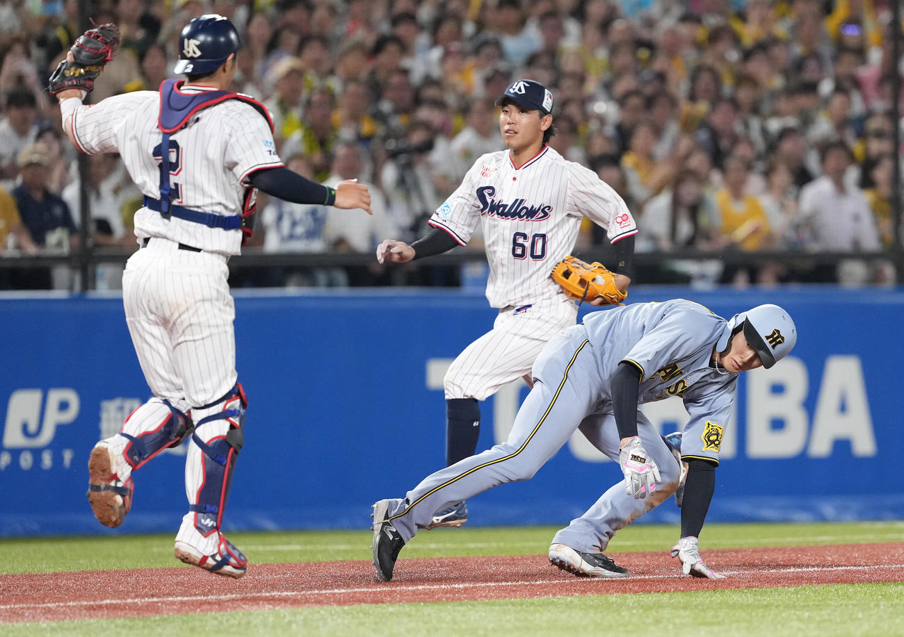 ヤクルト対阪神　6回表阪神2死一、三塁、三本間で挟まれる三塁走者小幡。左は捕手古賀、三塁手武岡（撮影・鈴木みどり）