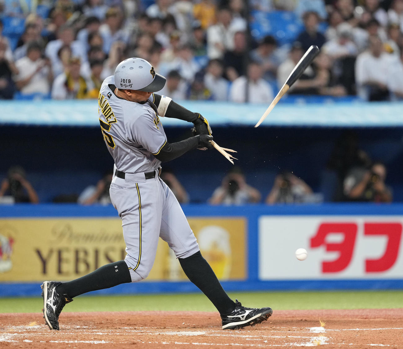 ヤクルト対阪神　3回表阪神無死、ヘルナンデスの折れたバットは客席に入る（撮影・鈴木みどり）
