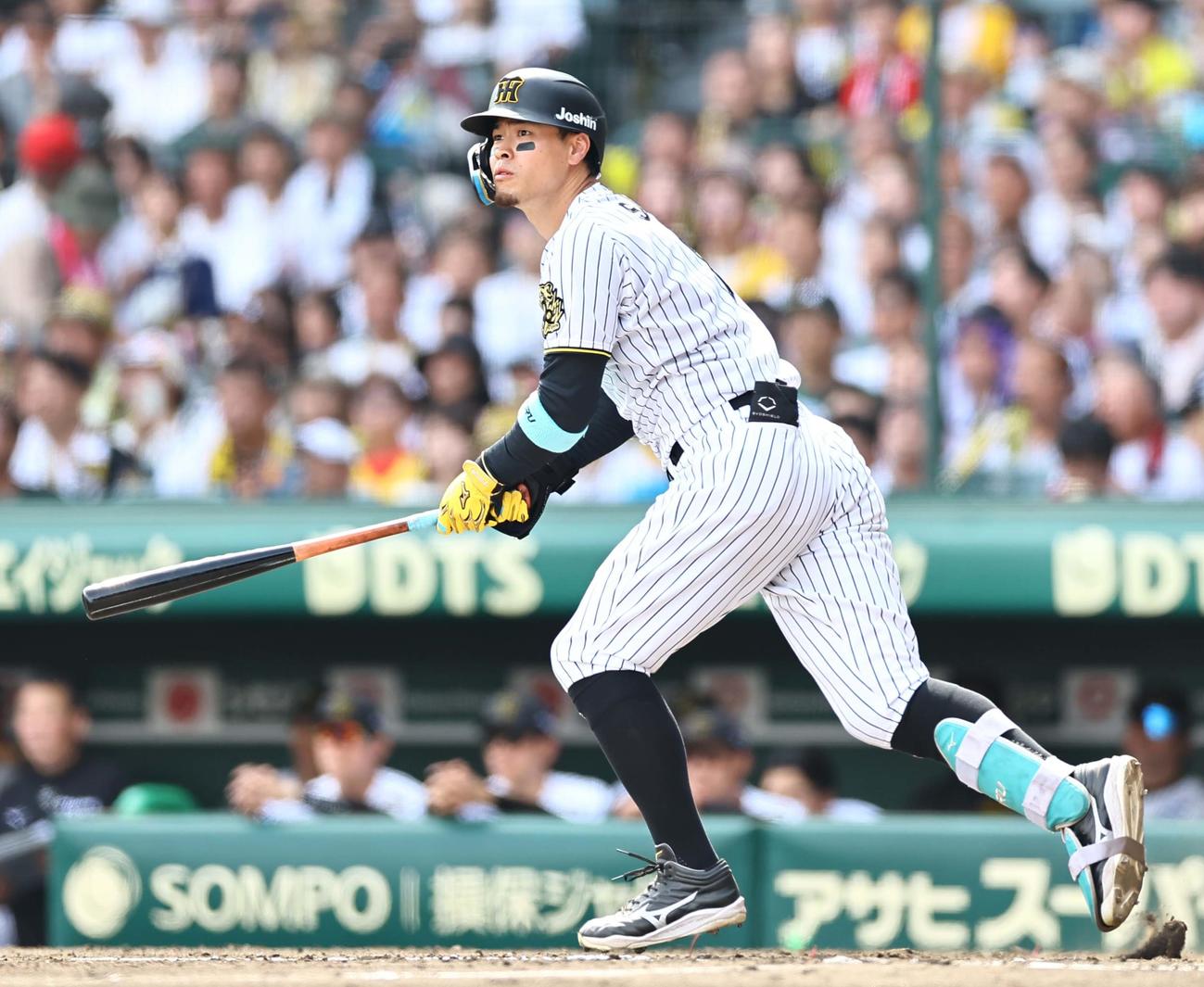 阪神佐藤輝明（2025年6月撮影）