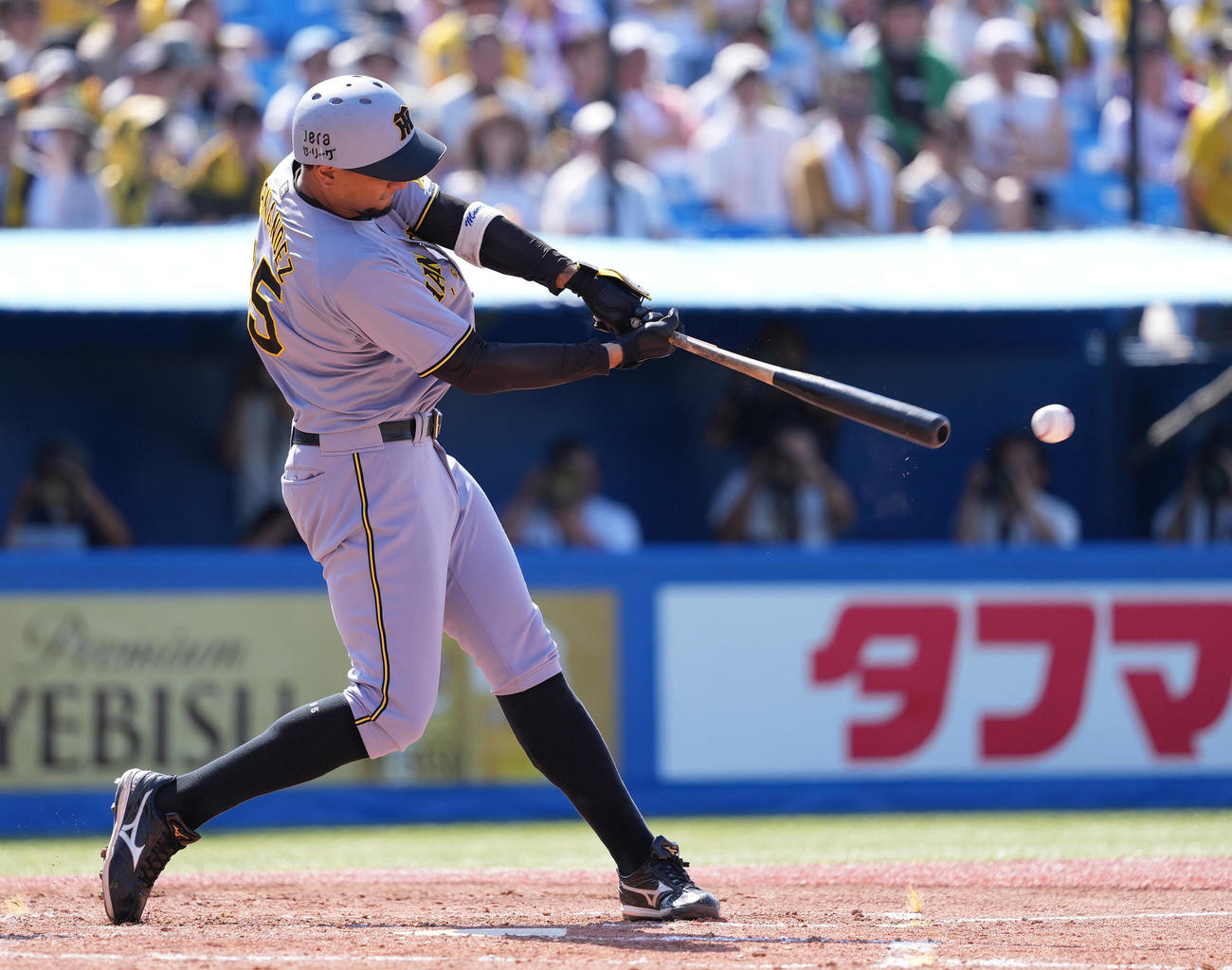 ヤクルト対阪神　4回表阪神1死二塁、左前打を放つヘルナンデス（撮影・鈴木みどり）