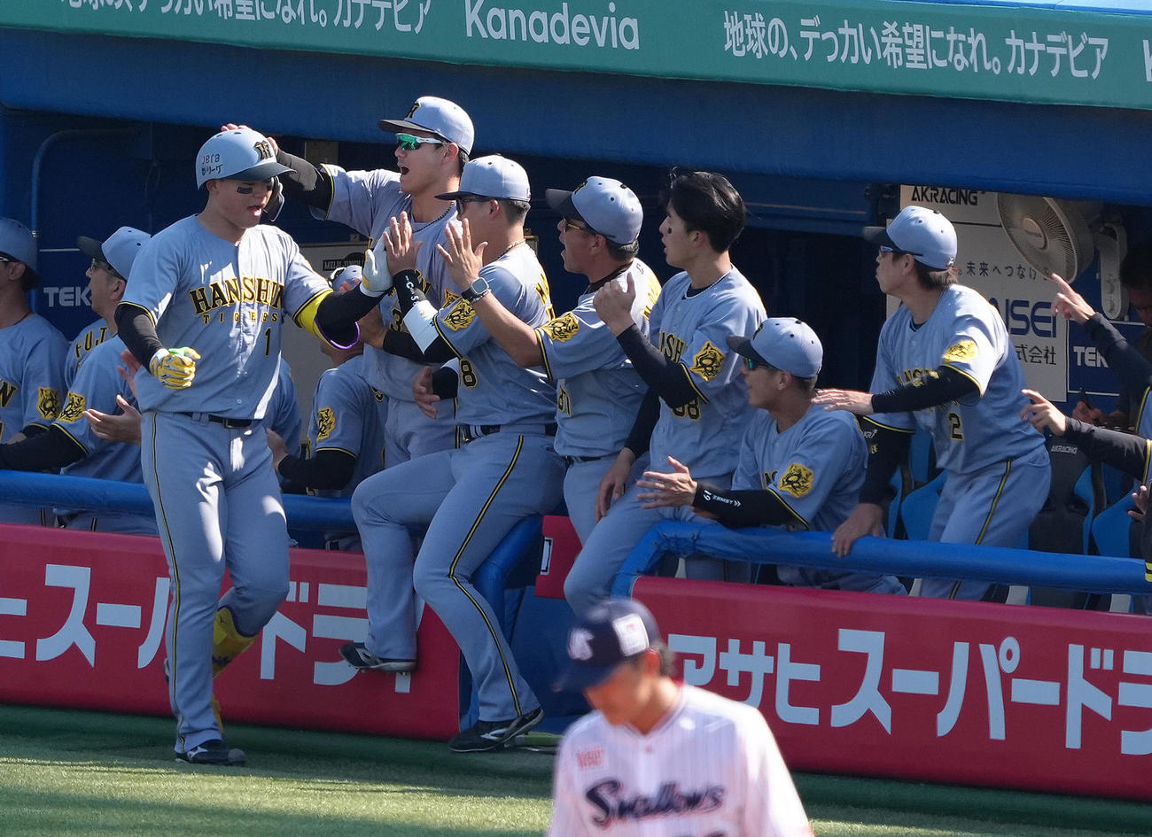 ヤクルト対阪神　5回表阪神2死二塁、森下（左端）は先制2点本塁打放ちタッチで迎えられる（撮影・足立雅史）