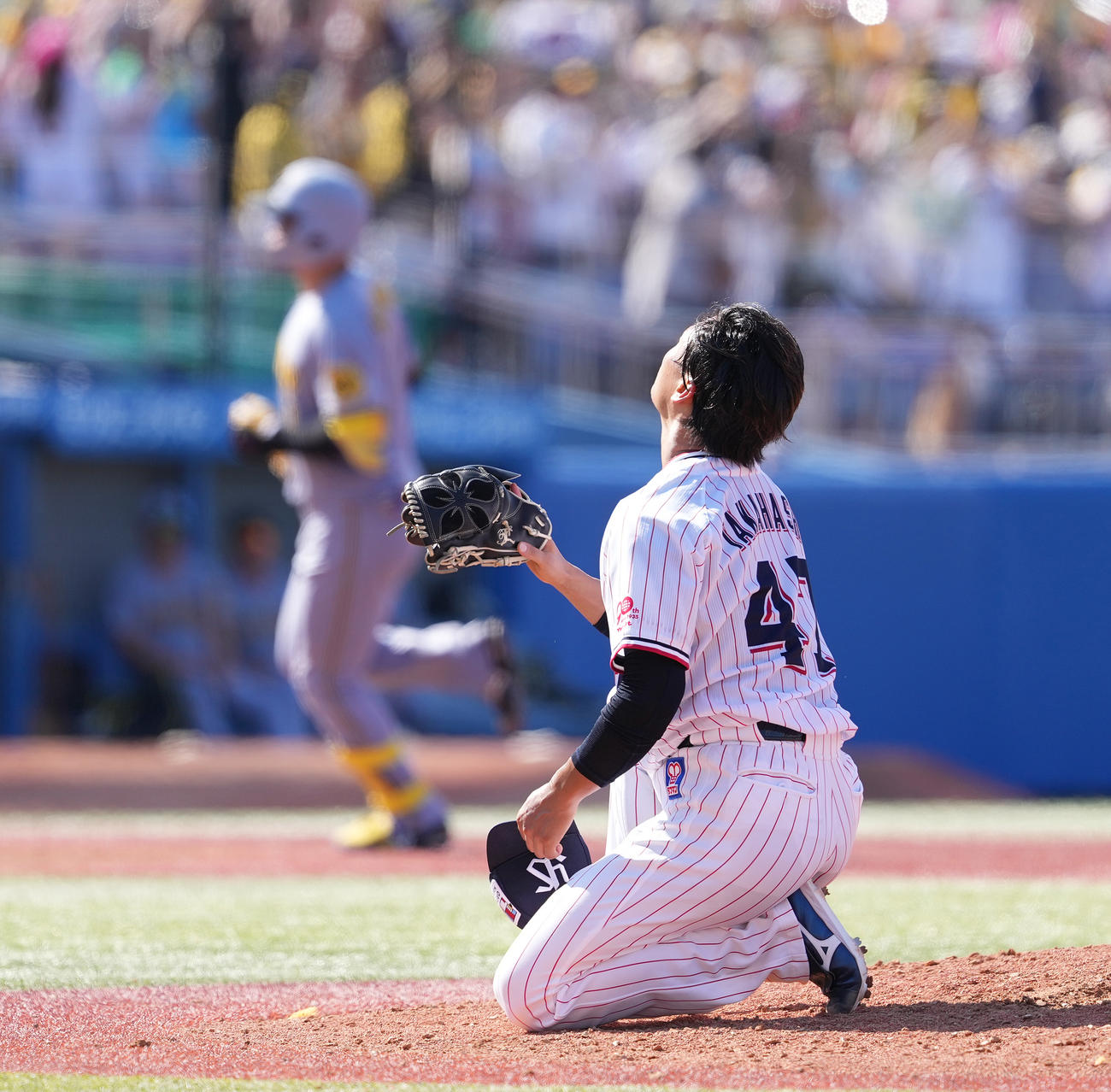 ヤクルト対阪神　5回表阪神2死二塁、森下に先制の左越え2点本塁打を浴び、膝をつく高橋（撮影・鈴木みどり）