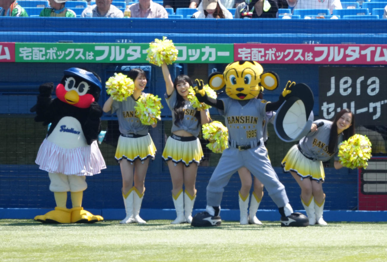 試合前、球場を盛り上げる、左からつばみ、タイガースガールズ、トラッキー（撮影・足立雅史）