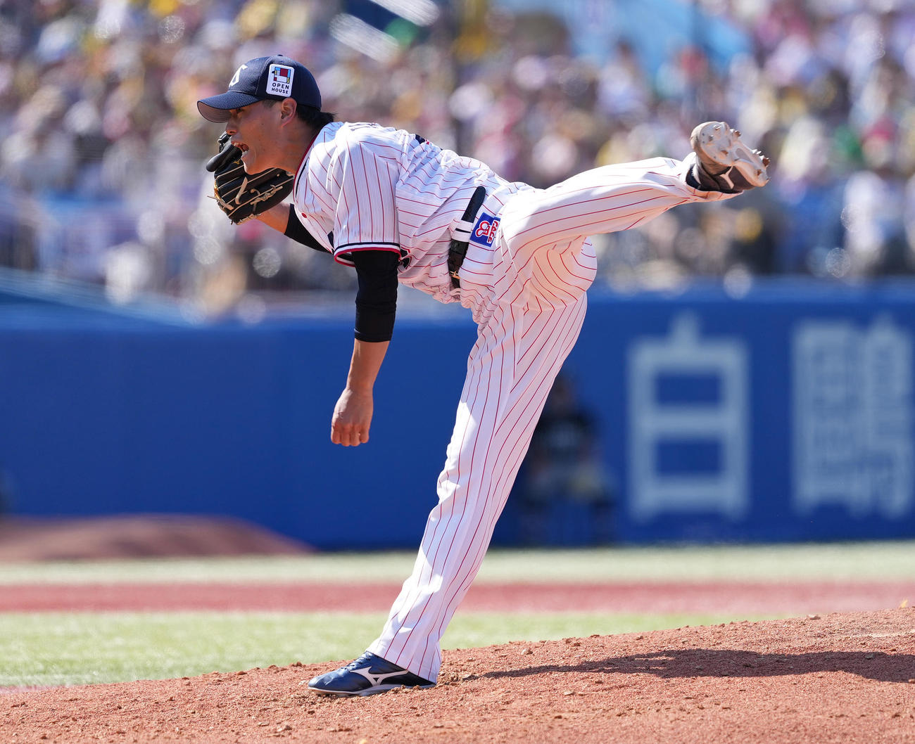 ヤクルト対阪神　4回表阪神2死一、三塁、坂本を一邪飛に仕留める高橋（撮影・鈴木みどり）