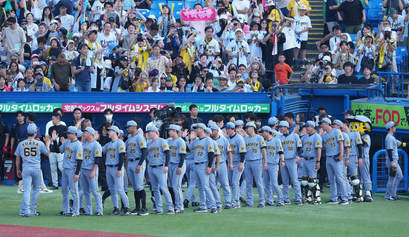 ヤクルト対阪神　ヤクルトに勝利し、タッチを交わす阪神藤川監督（中央）ら（撮影・足立雅史）