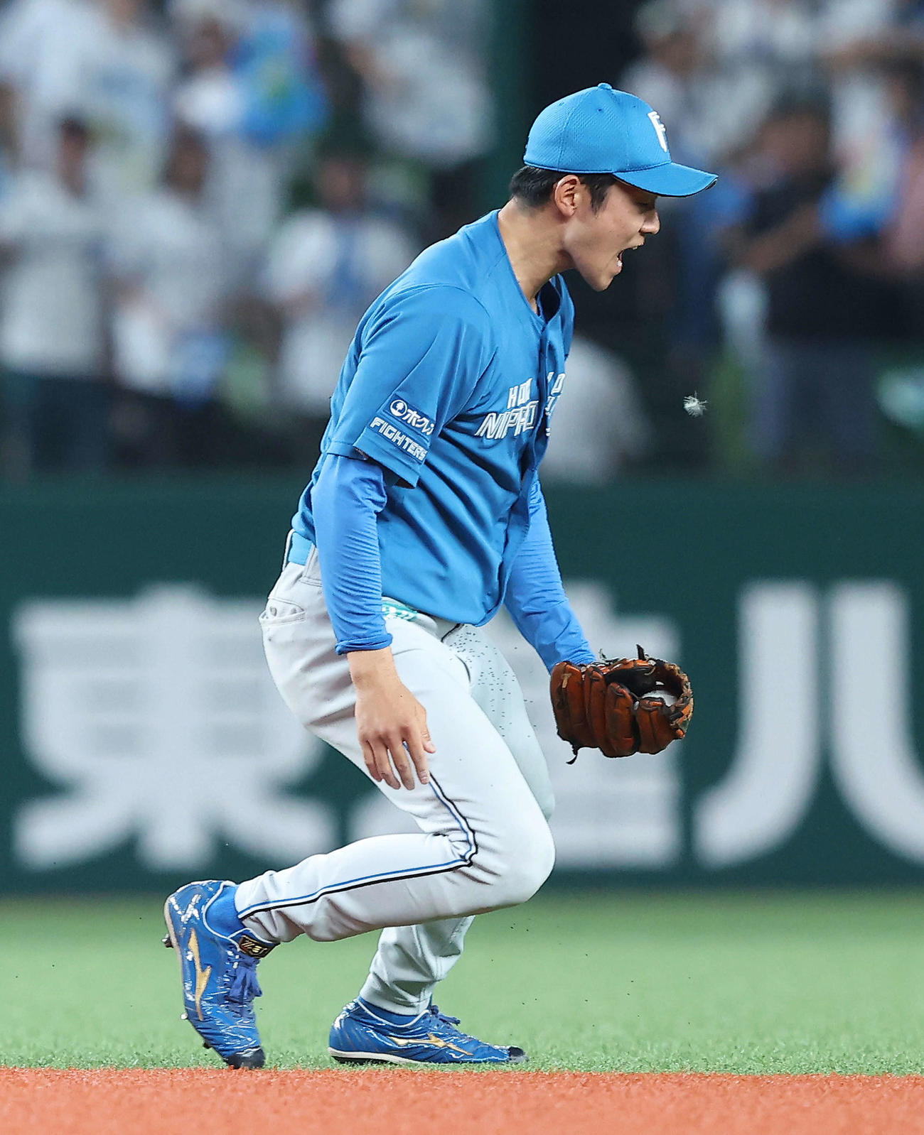 西武対日本ハム　6回裏西武2死二塁、滝沢の二直を好捕する石井（撮影・河田真司）