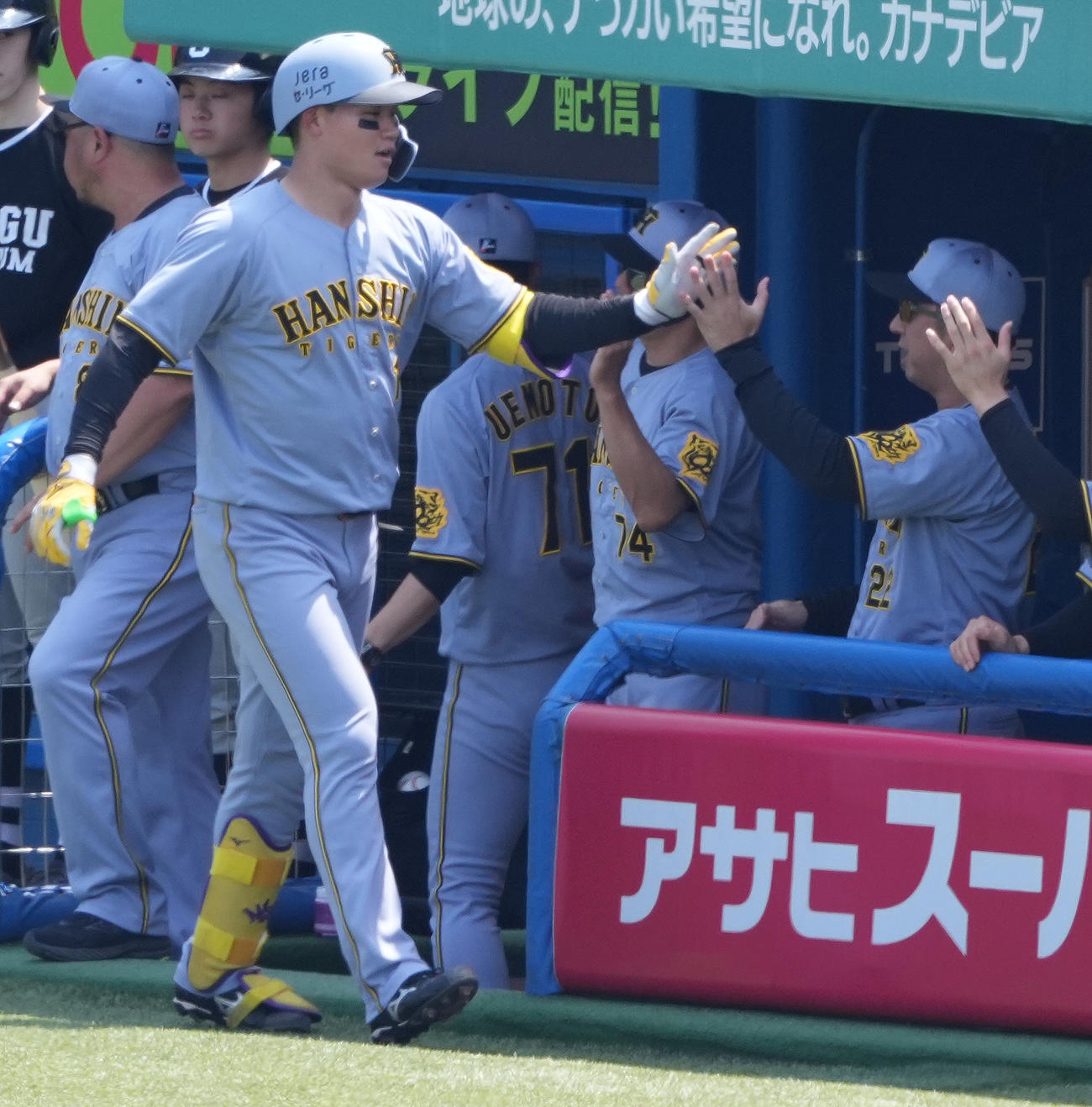 ヤクルト対阪神　1回表阪神2死、左中間に先制のソロ本塁打を放った森下（左手前）を迎える藤川監督（右）（撮影・鈴木みどり）