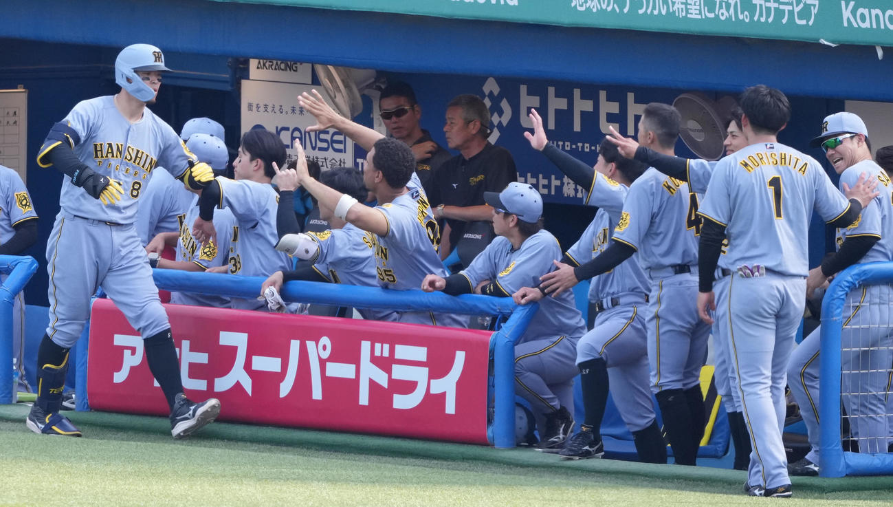 ヤクルト対阪神　8回表阪神1死、右越えソロ本塁打を放った佐藤輝はナインと笑顔でハイタッチ（撮影・鈴木みどり）