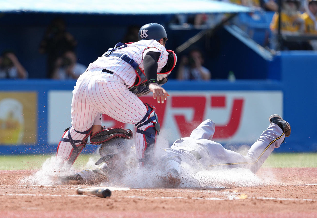 ヤクルト対阪神　5回表阪神1死二、三塁、伊藤将のスクイズにヘッドスライディングで生還する前川。捕手古賀（撮影・足立雅史）