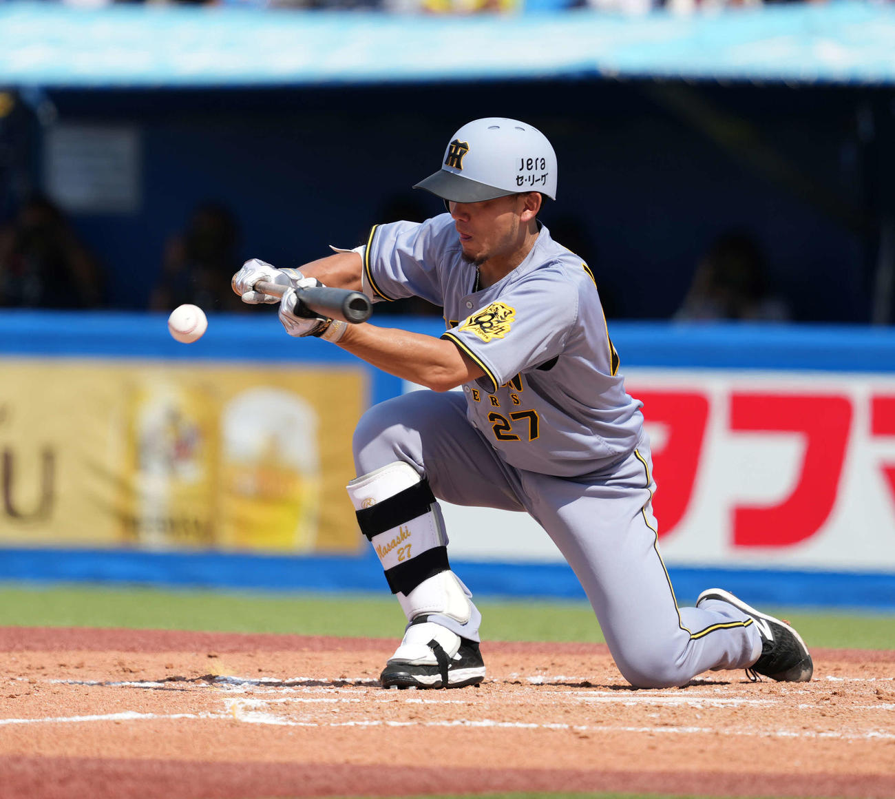 ヤクルト対阪神　5回表阪神1死二、三塁、スクイズを決める伊藤将（撮影・井上学）