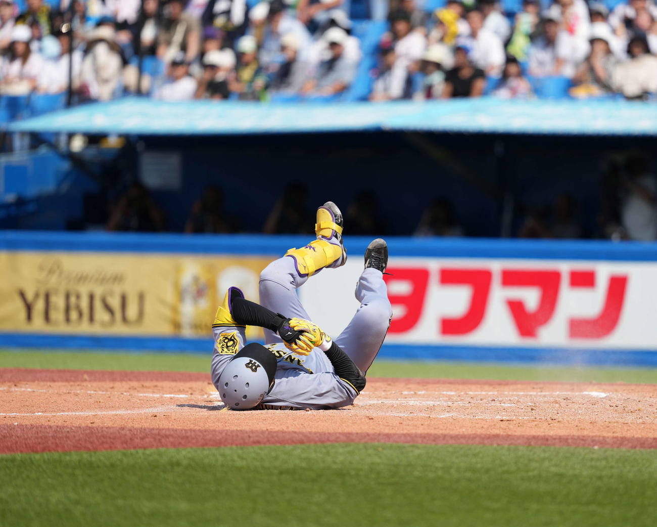 ヤクルト対阪神　5回表阪神2死一塁、死球を受ける森下（撮影・井上学）