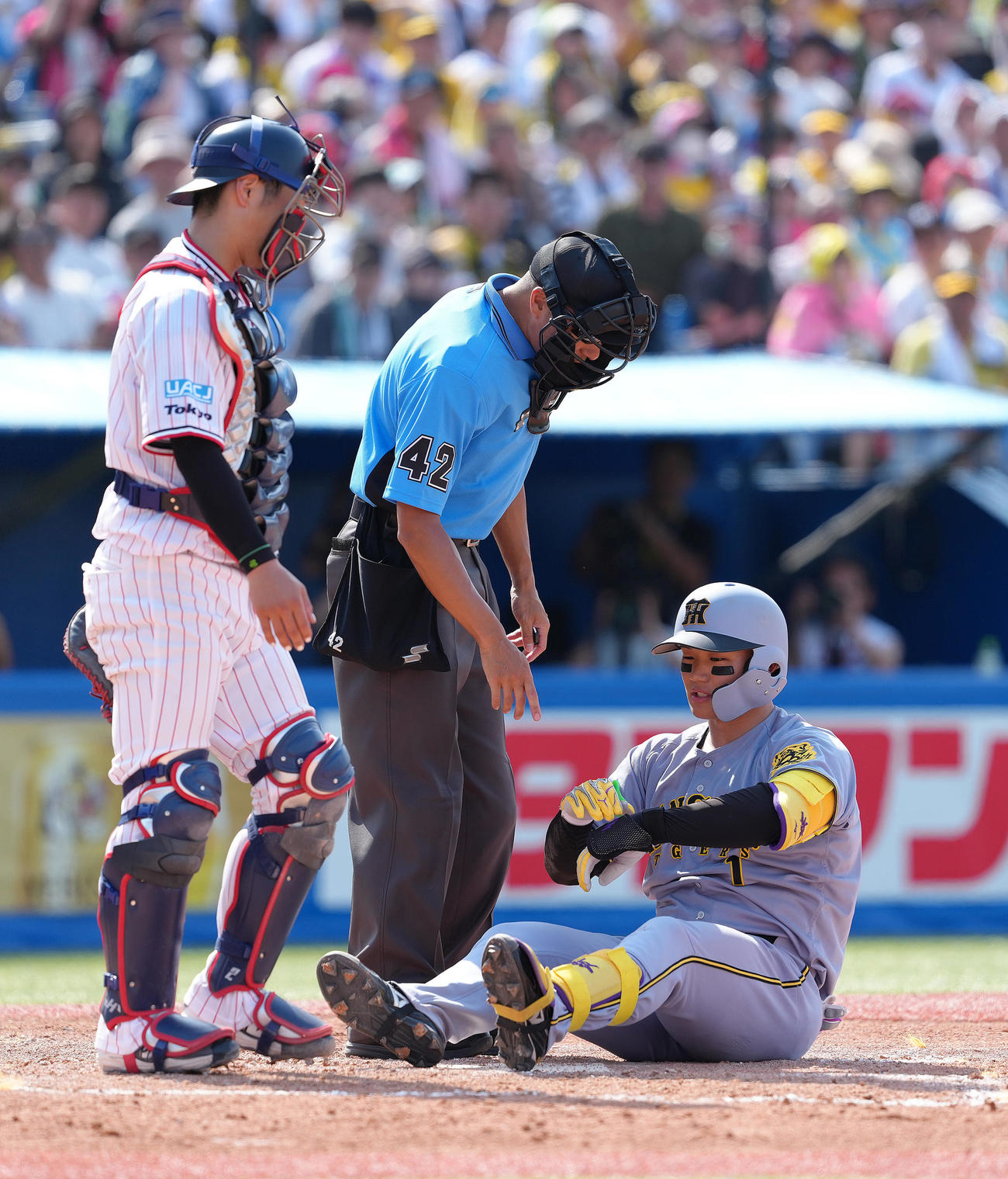 ヤクルト対阪神　5回表阪神2死一塁、森下（右）は手に死球を受けたことをアピールする（撮影・足立雅史）