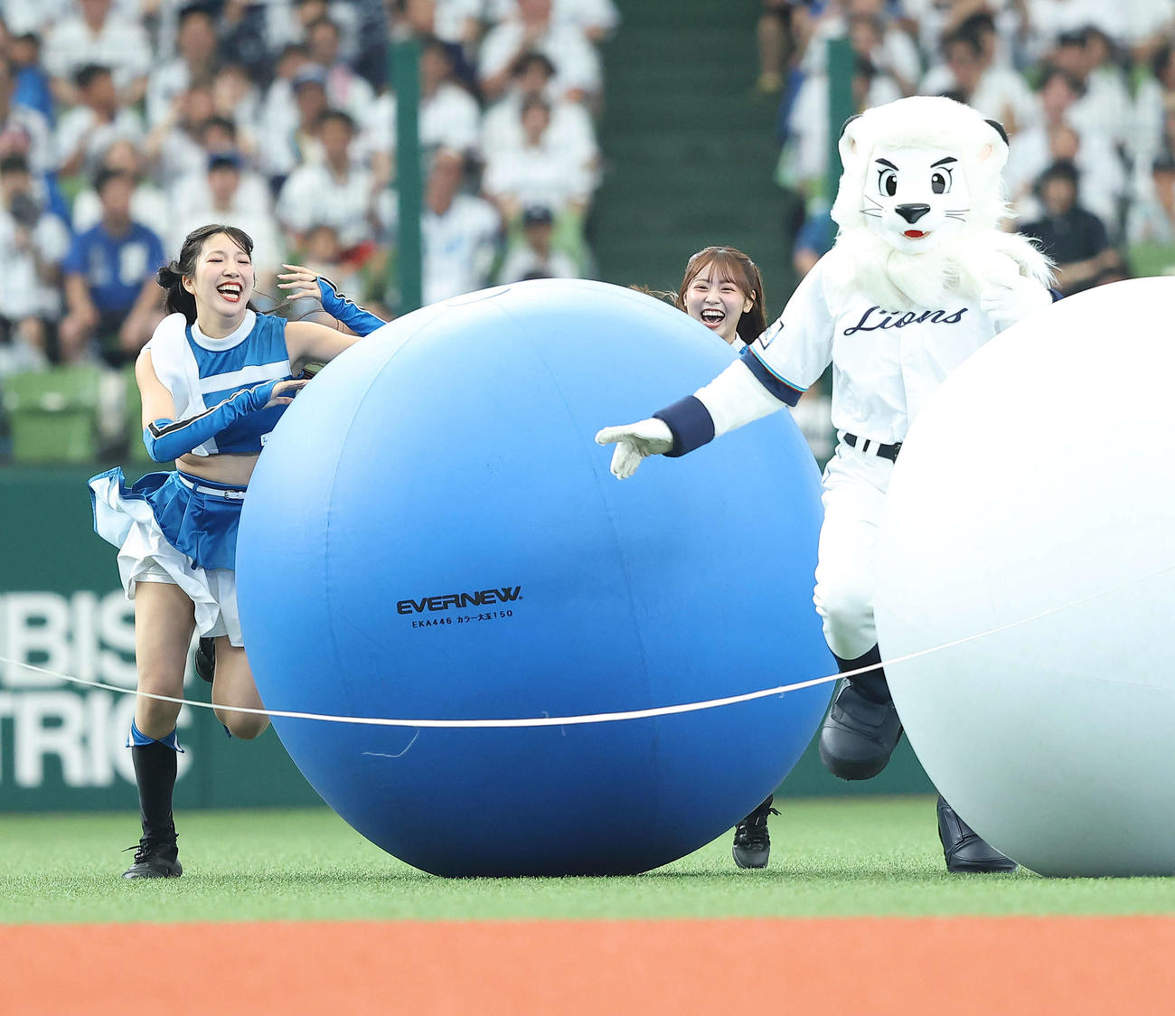 西武対日本ハム　大玉リレー競争でレオ（右）と競り合うファイターズガール（撮影・河田真司）