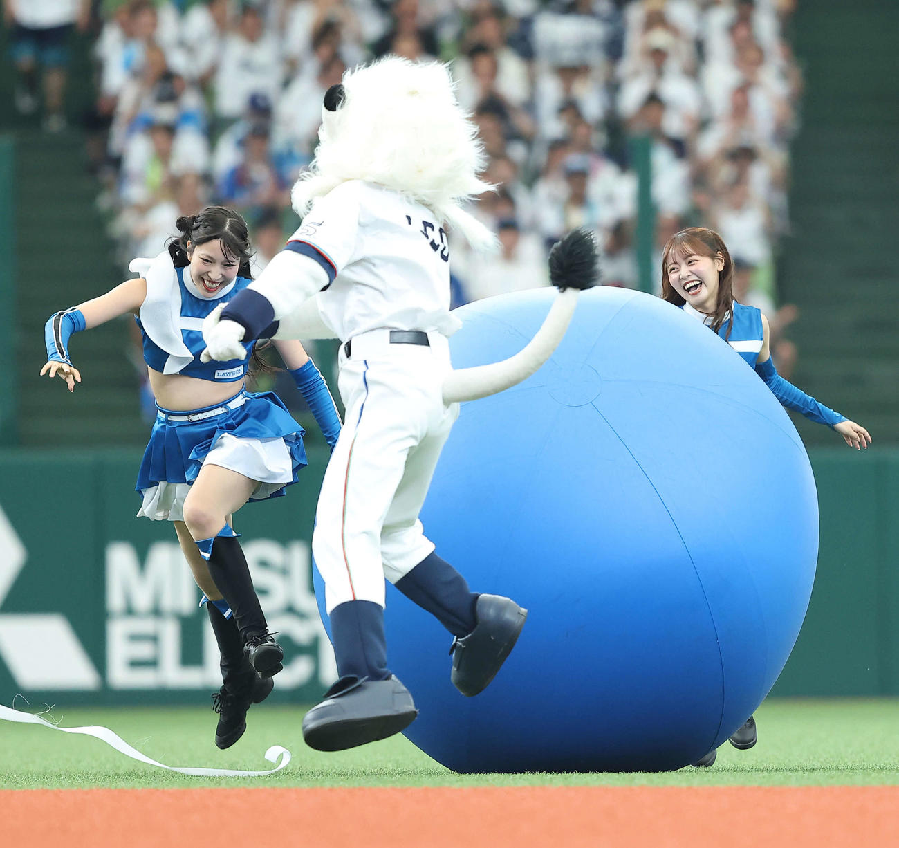 西武対日本ハム　大玉リレー競争でレオ（中央）と競り合うファイターズガール（撮影・河田真司）