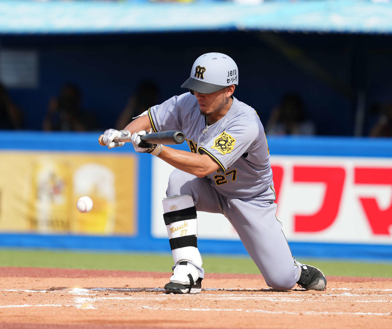 ヤクルト対阪神　7回表阪神無死塁一塁、送りバントを決める伊藤将（撮影・井上学）