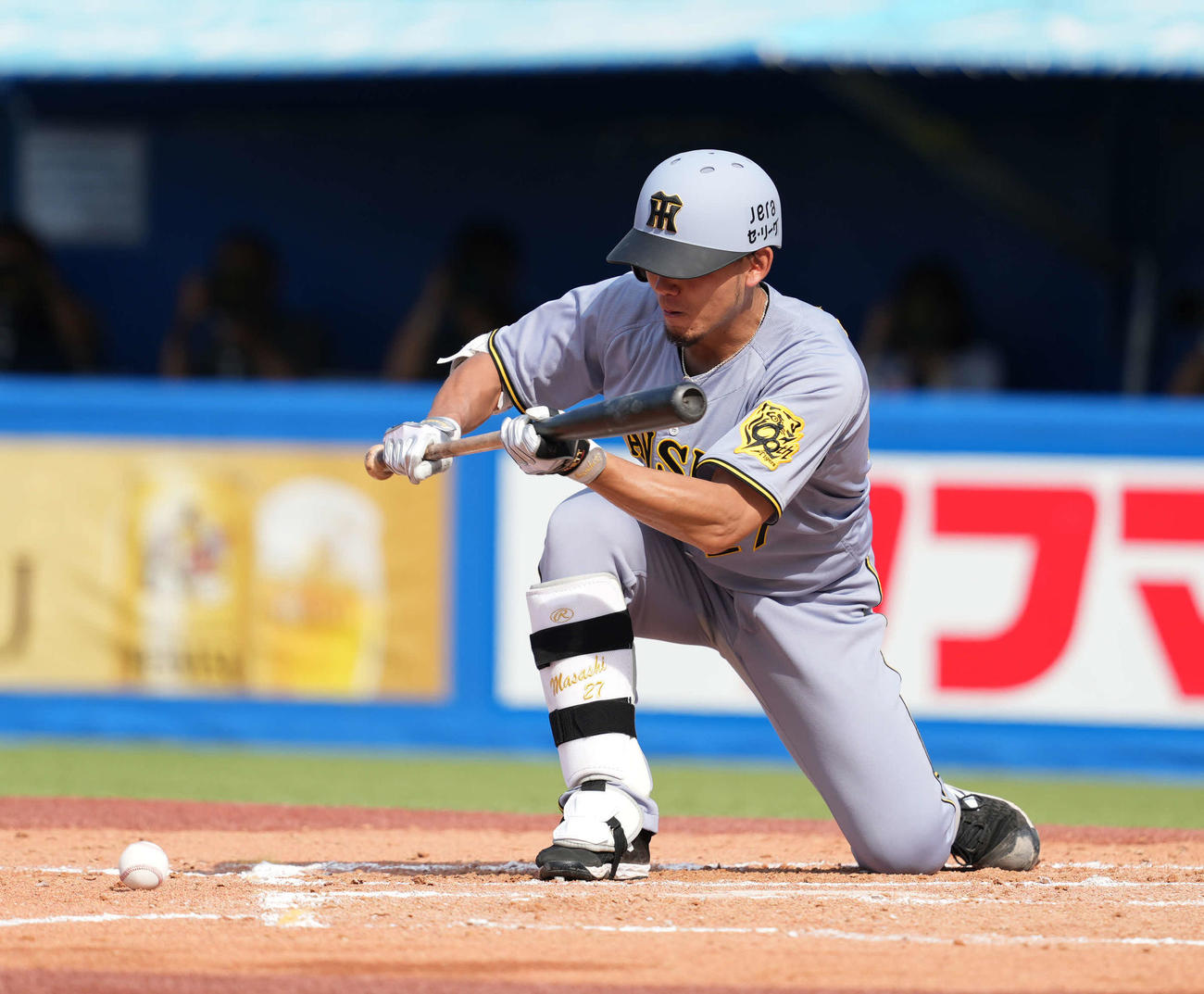 ヤクルト対阪神　7回表阪神無死塁一塁、送りバントを決める伊藤将（撮影・井上学）