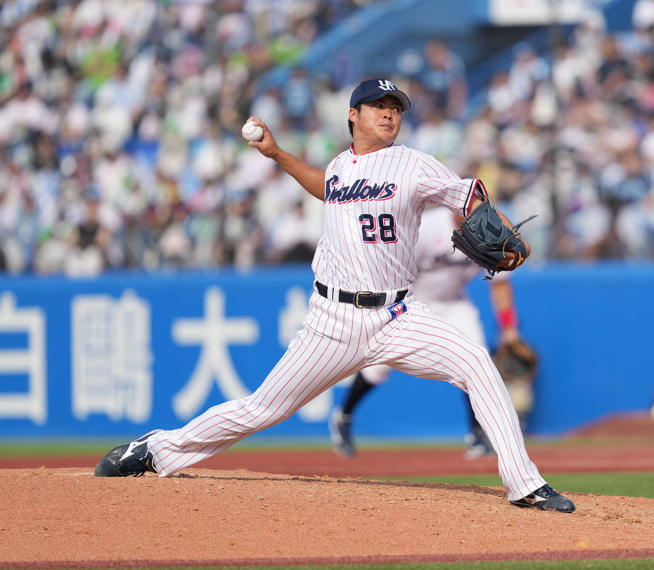 ヤクルト対阪神　ヤクルト5番手の松本健（撮影・井上学）