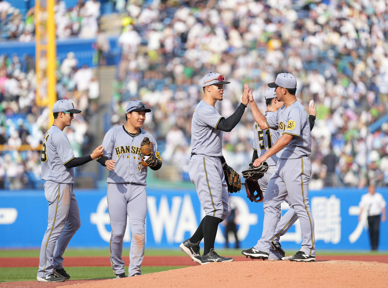 ヤクルト対阪神　勝利のハイタッチをかわす伊藤将（右端）、佐藤輝（同3人目）ら阪神ナイン（撮影・井上学）