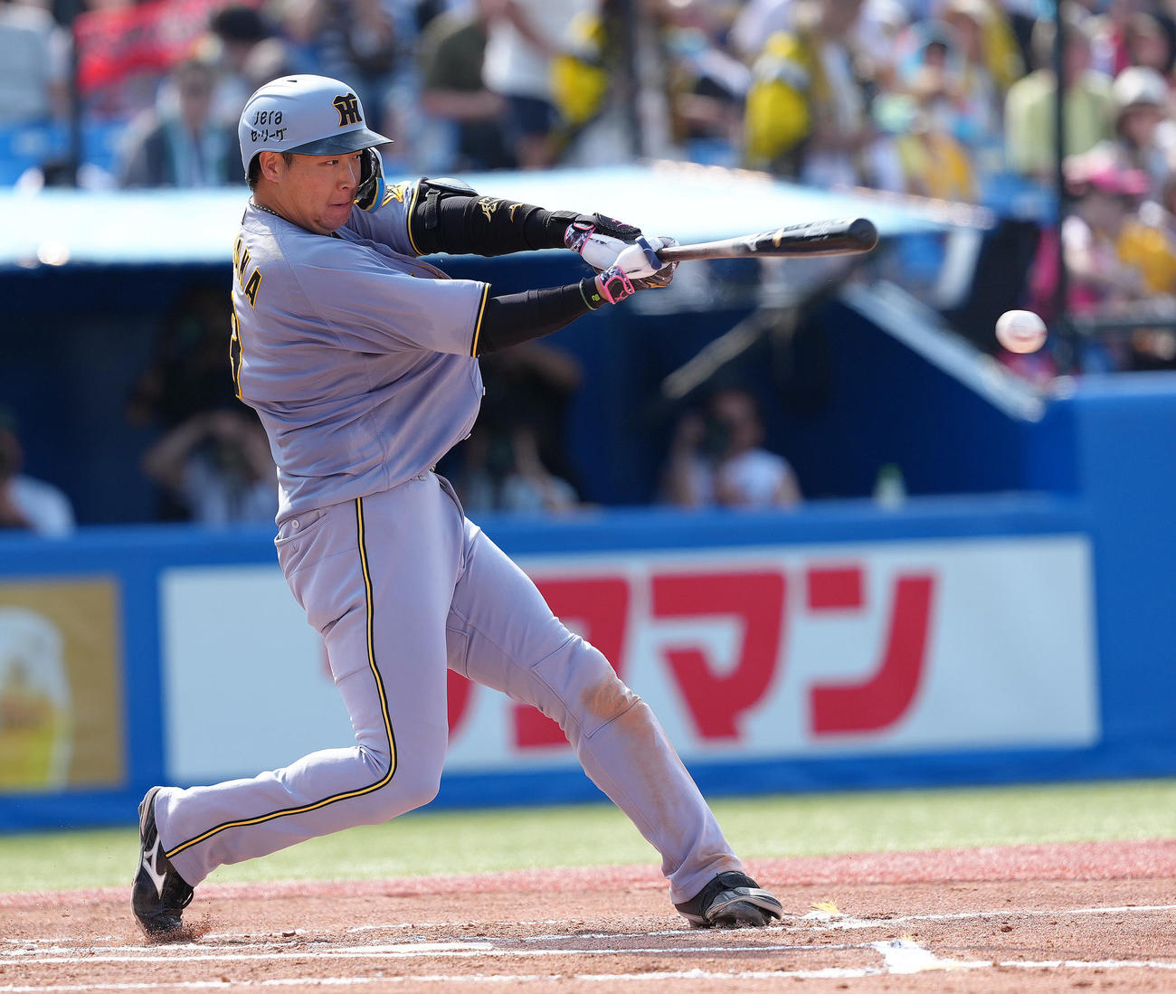 ヤクルト対阪神　6回表阪神無死、大山は左前打を放つ（撮影・足立雅史）