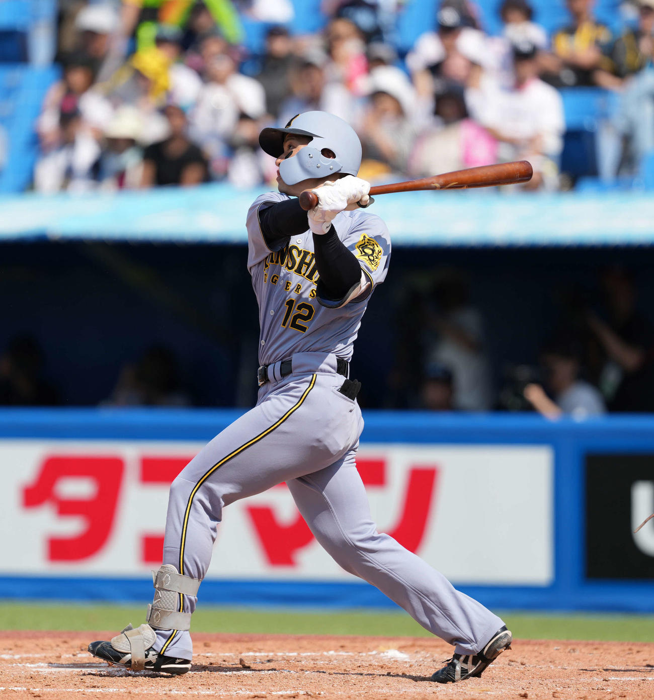 ヤクルト対阪神　5回表阪神無死一、三塁、適時二塁打を放つ坂本（撮影・井上学）