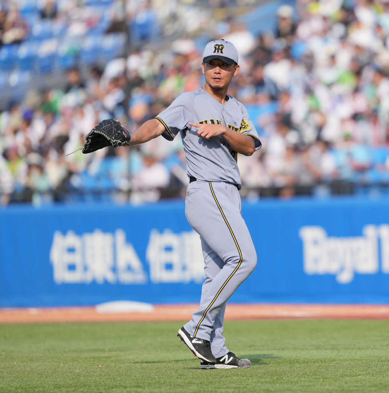 ヤクルト対阪神　完封勝利を挙げた阪神伊藤将（撮影・井上学）