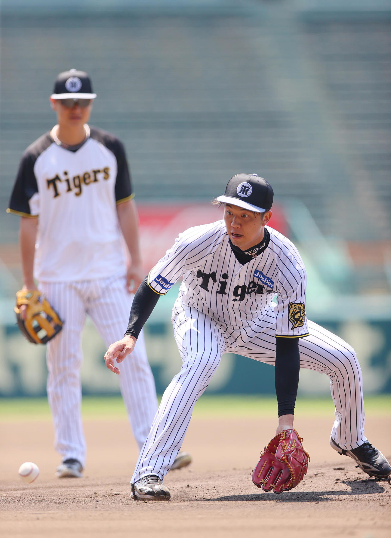 投手指名練習でノックを受ける阪神才木（右）と大竹（撮影・上山淳一）