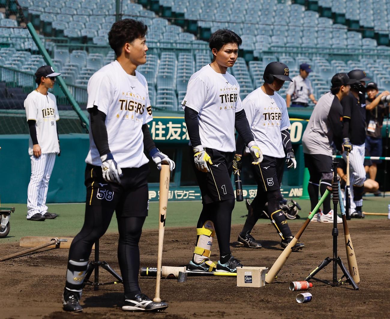 ハーフパンツで練習する左から阪神前川、森下、近本（撮影・藤尾明華）
