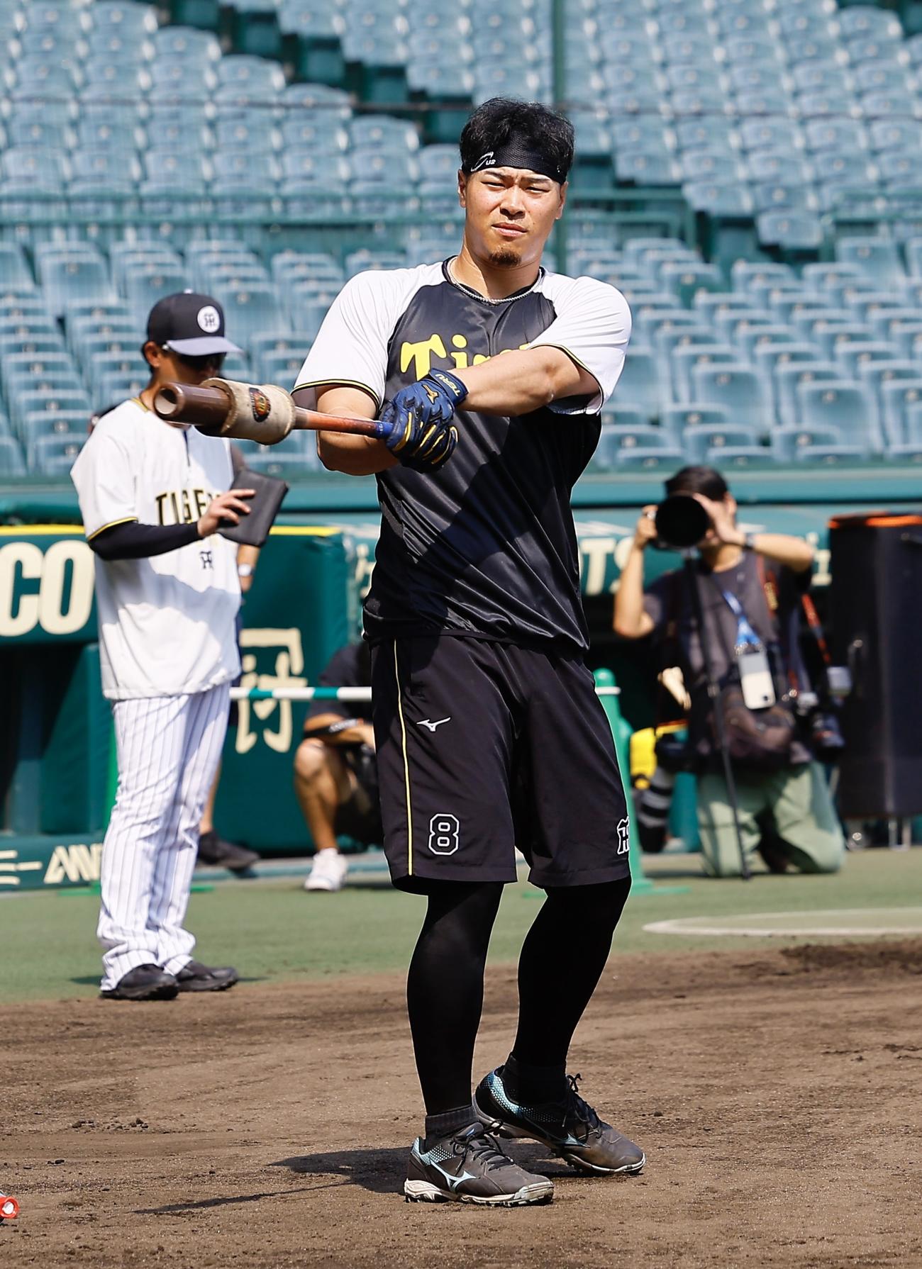ハーフパンツで練習する阪神佐藤輝（撮影・藤尾明華）